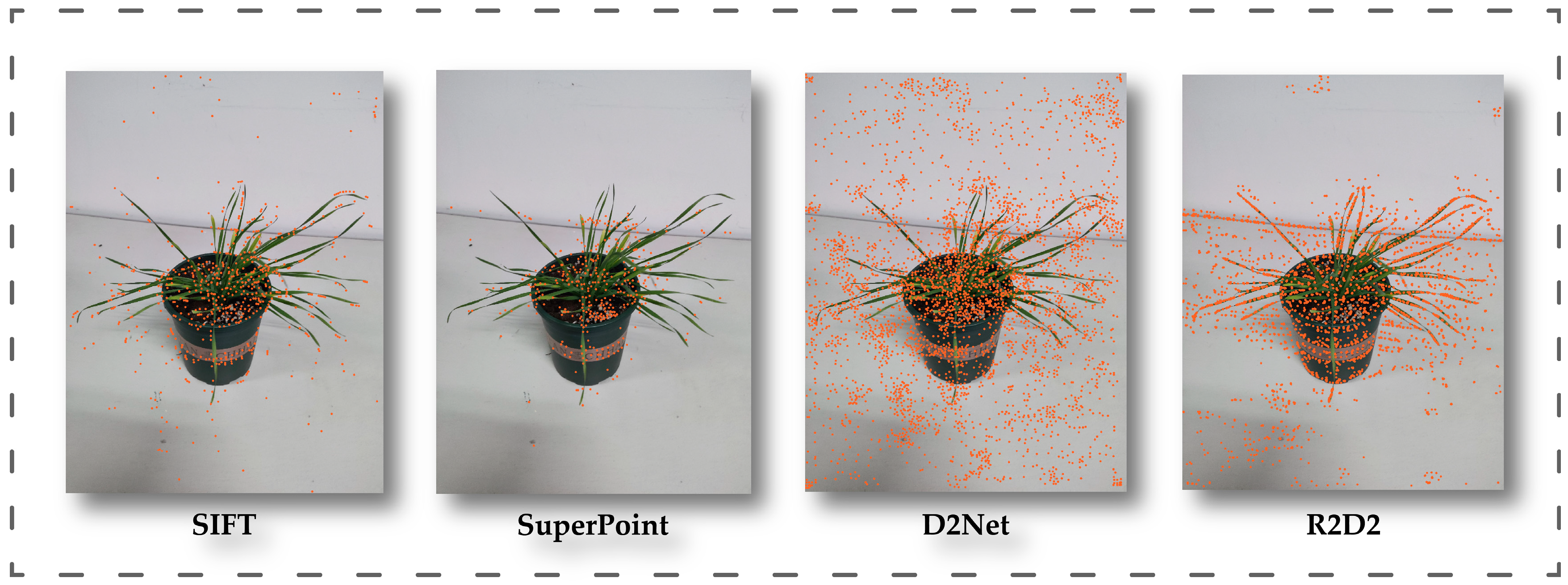 Agronomy 13 01975 g009