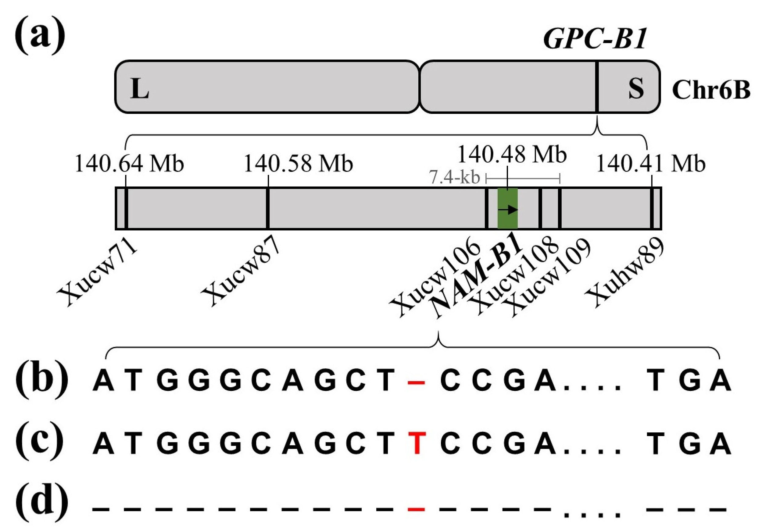Agronomy 13 01977 g001 Agronomy 13 01977 g001
