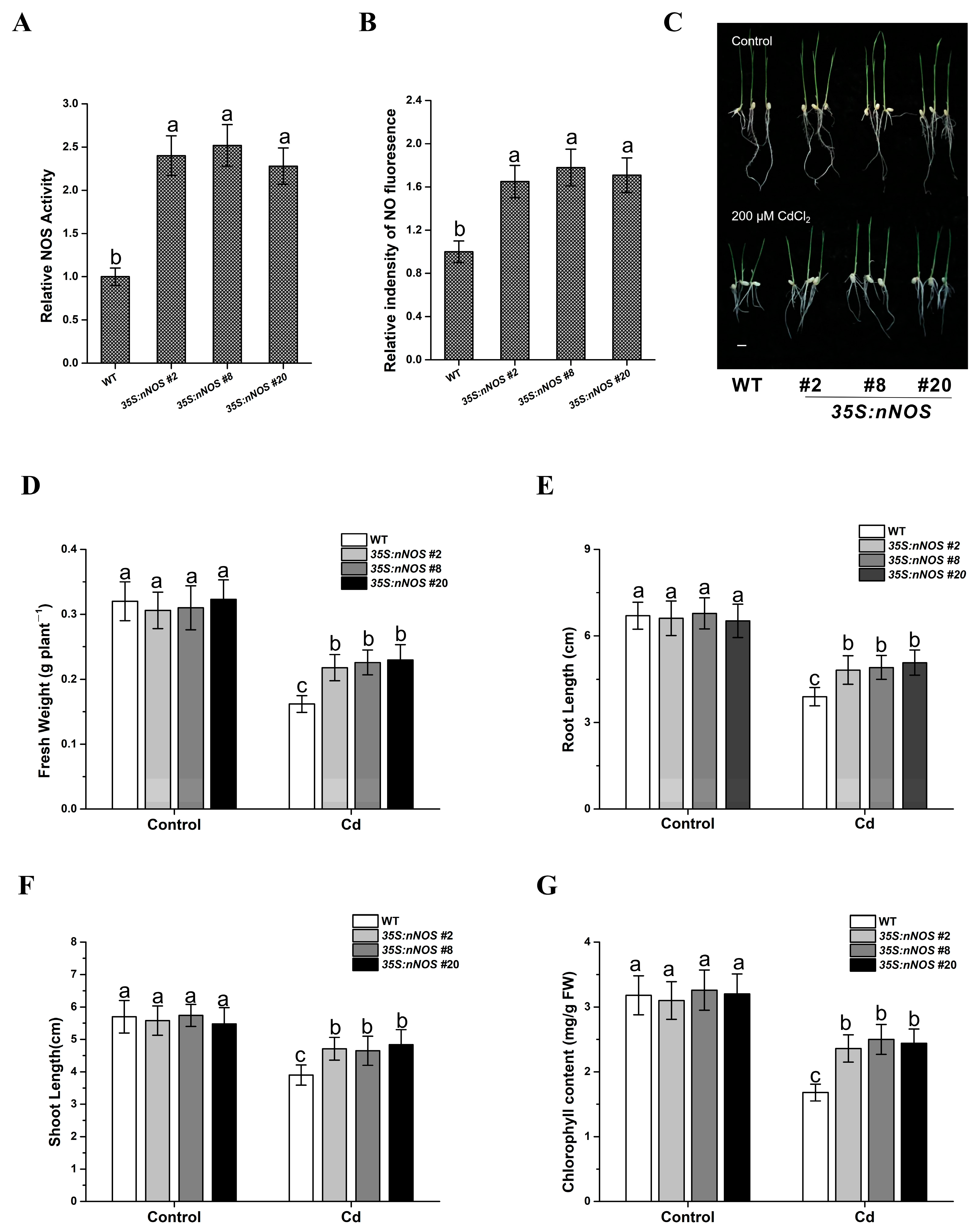 Agronomy 13 01978 g003 Agronomy 13 01978 g003
