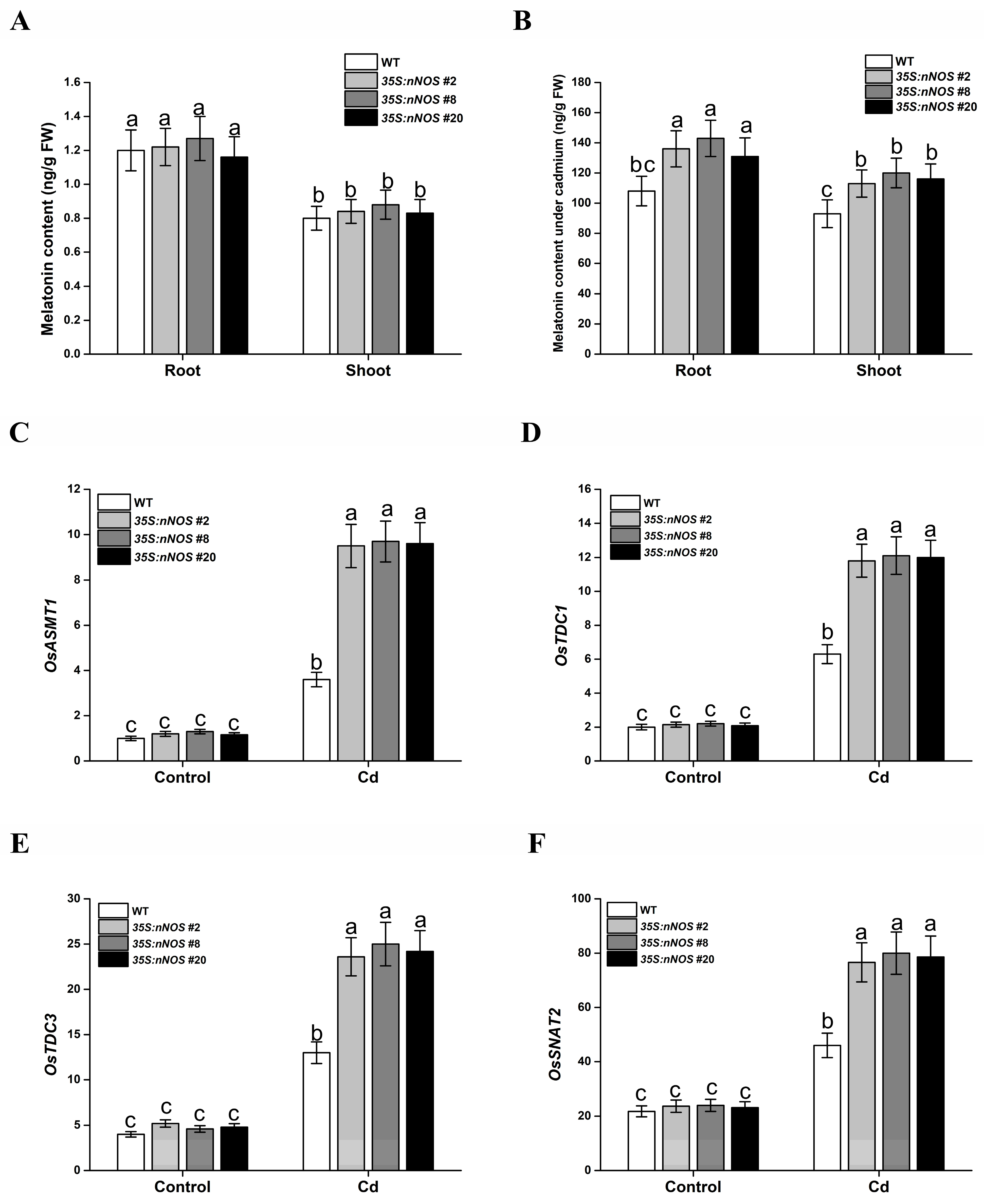 Agronomy 13 01978 g006 Agronomy 13 01978 g006