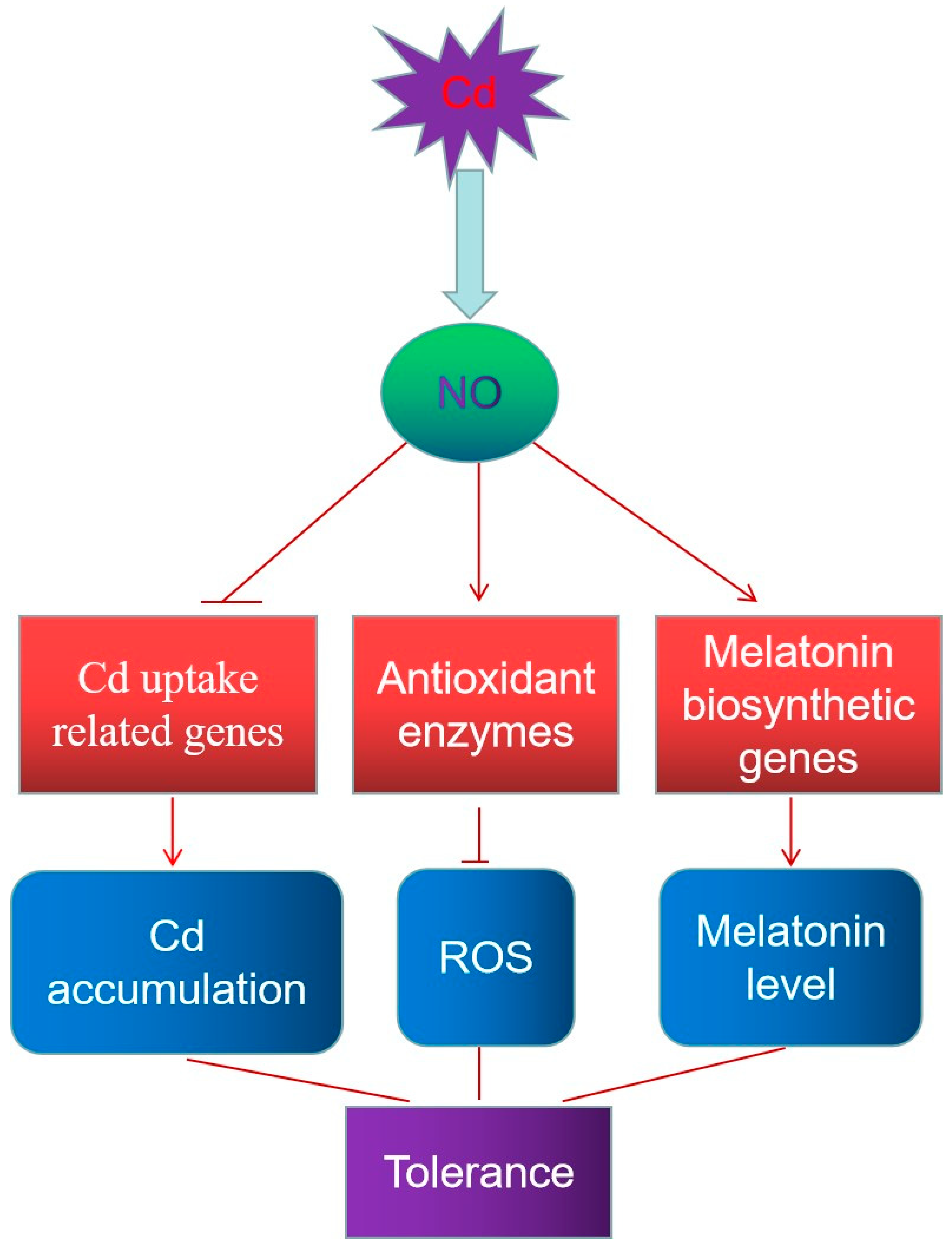 Agronomy 13 01978 g007 Agronomy 13 01978 g007