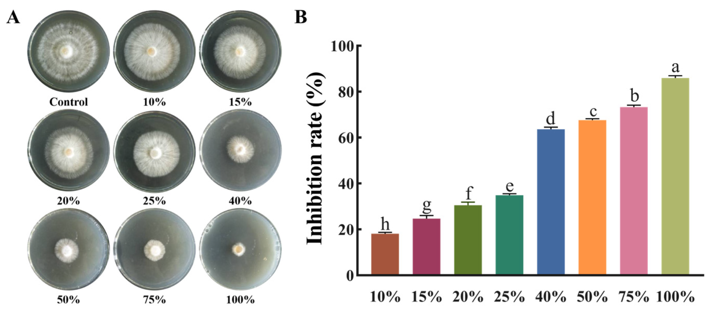 Agronomy 13 01986 g005