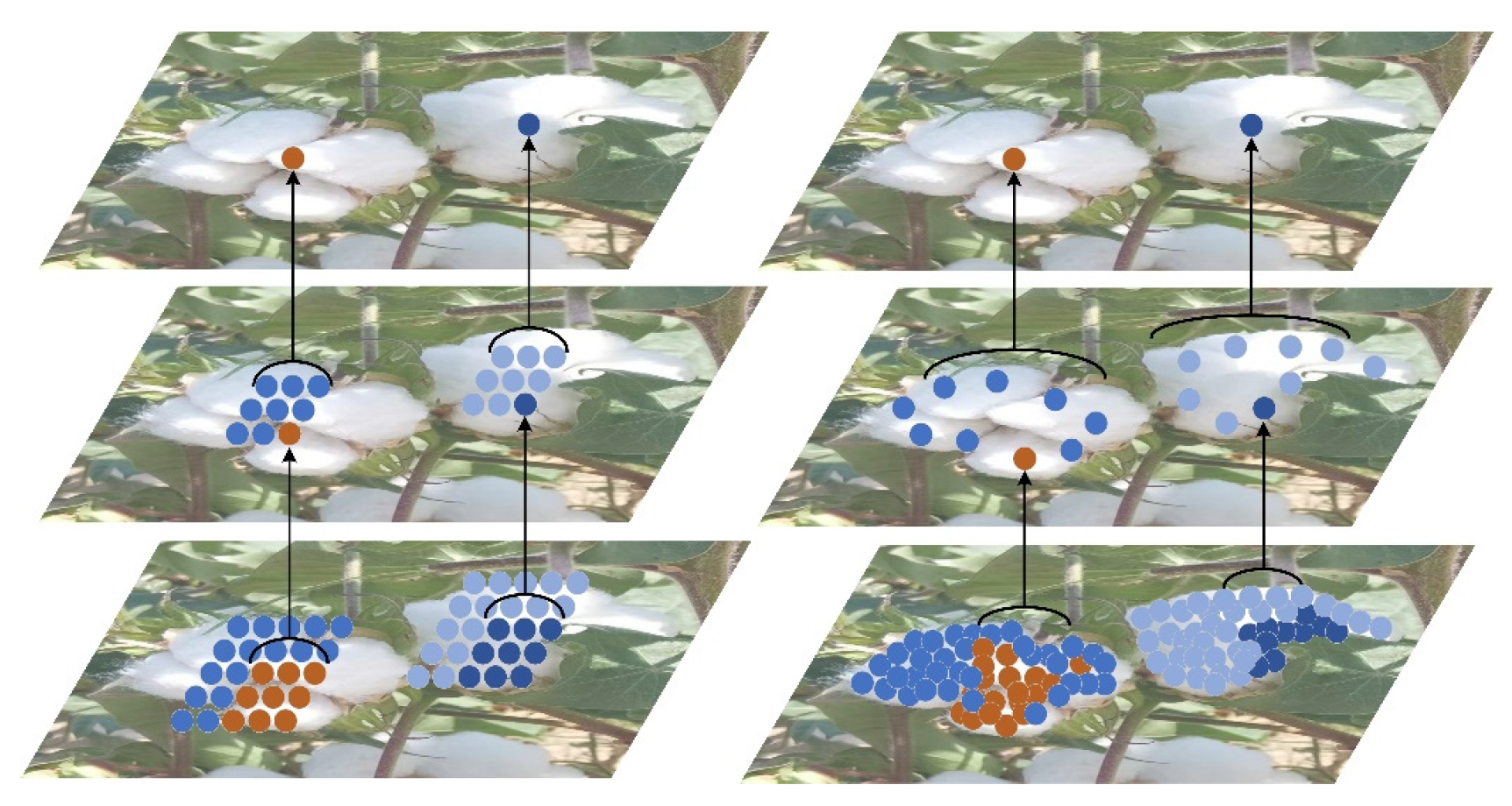 Agronomy 13 01988 g008