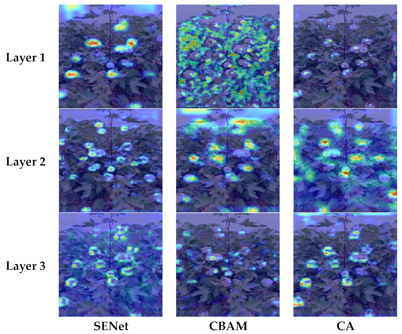 Agronomy 13 01988 g012