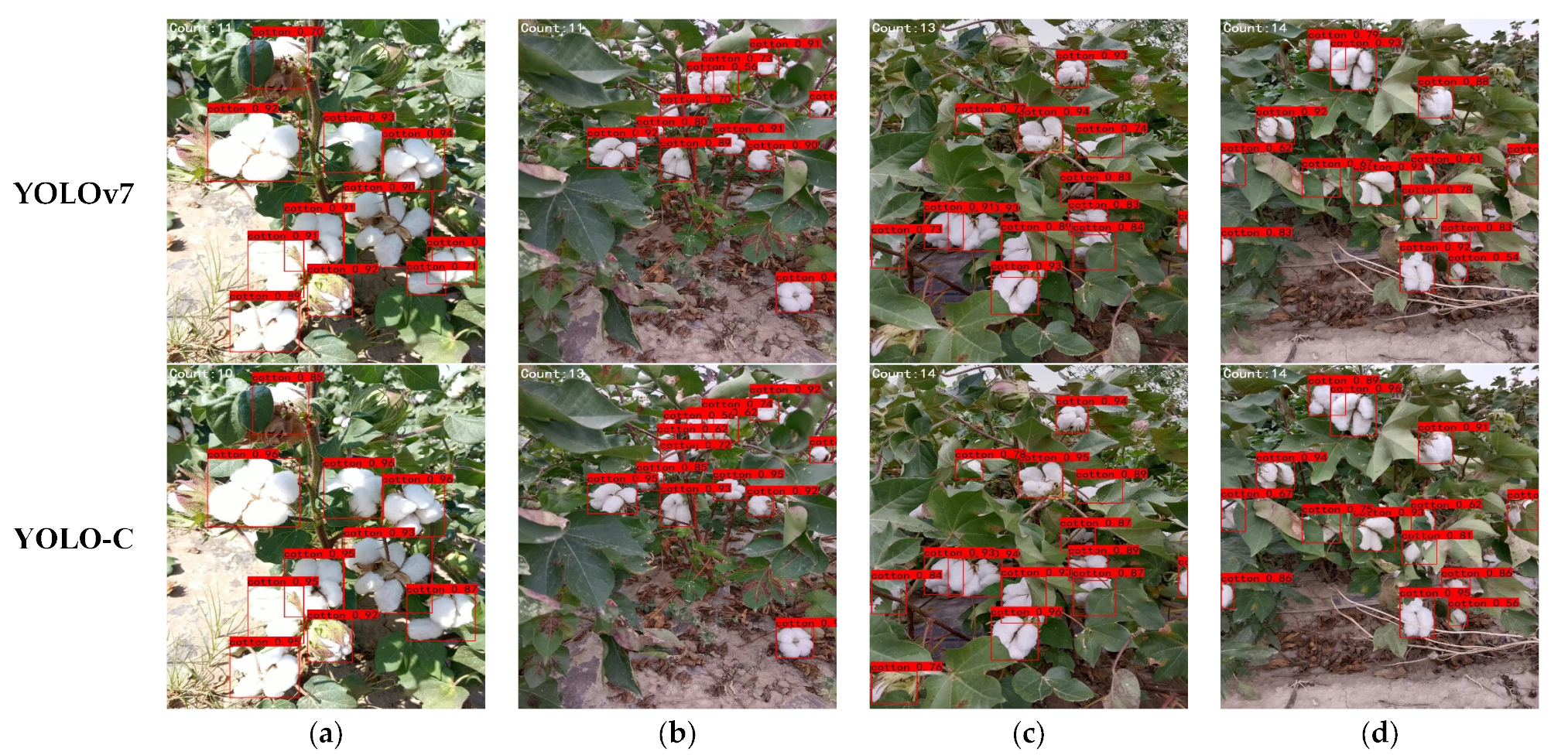 Agronomy 13 01988 g014