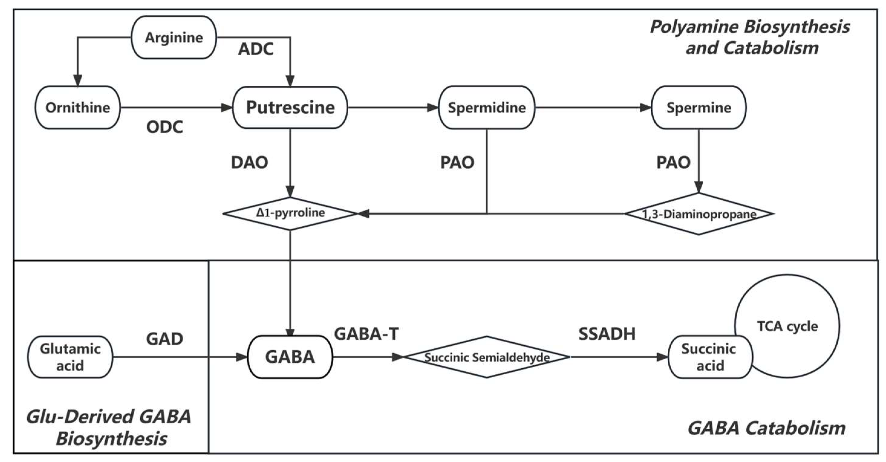 Agronomy 13 01989 g001 Agronomy 13 01989 g001
