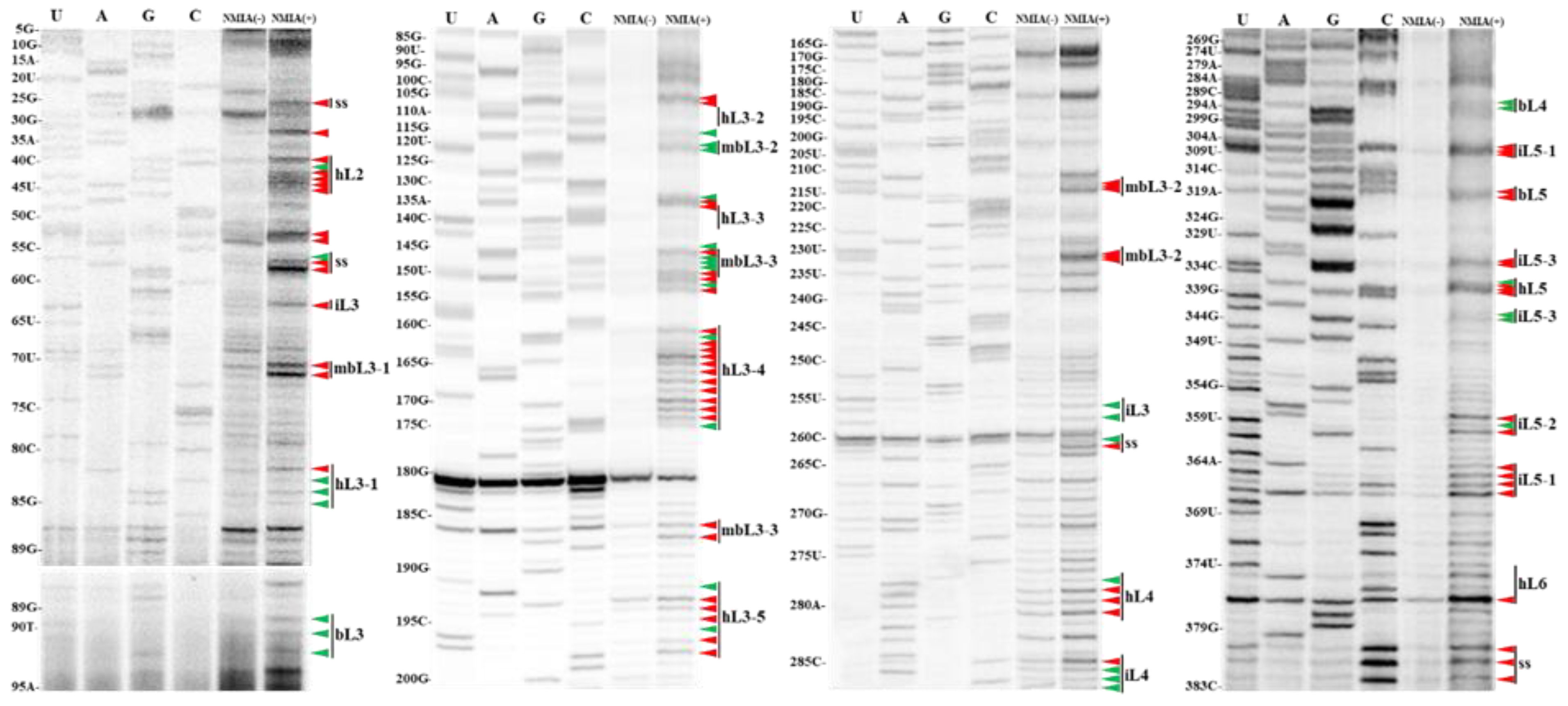 Agronomy 13 01990 g003 Agronomy 13 01990 g003