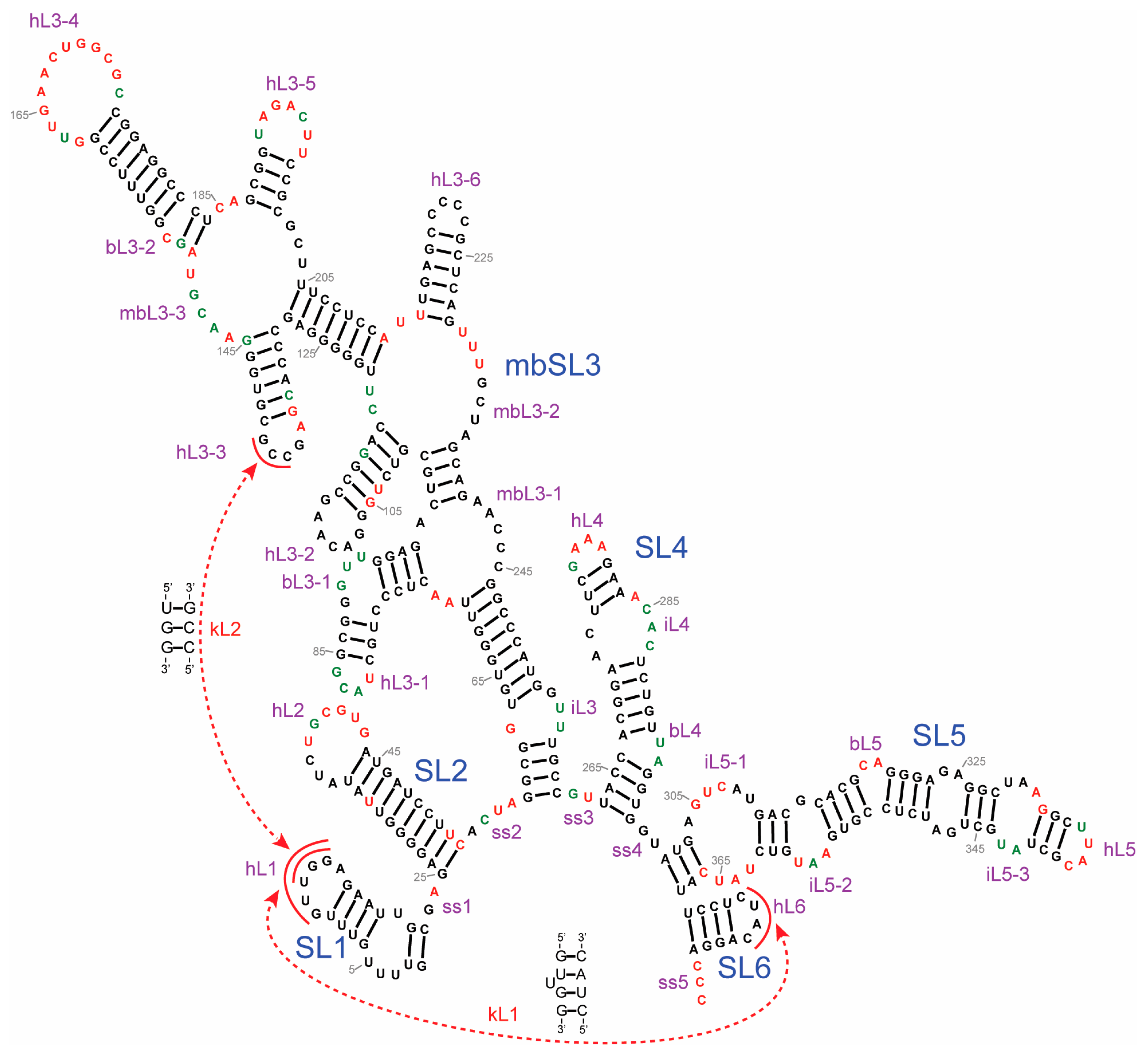 Agronomy 13 01990 g004 Agronomy 13 01990 g004