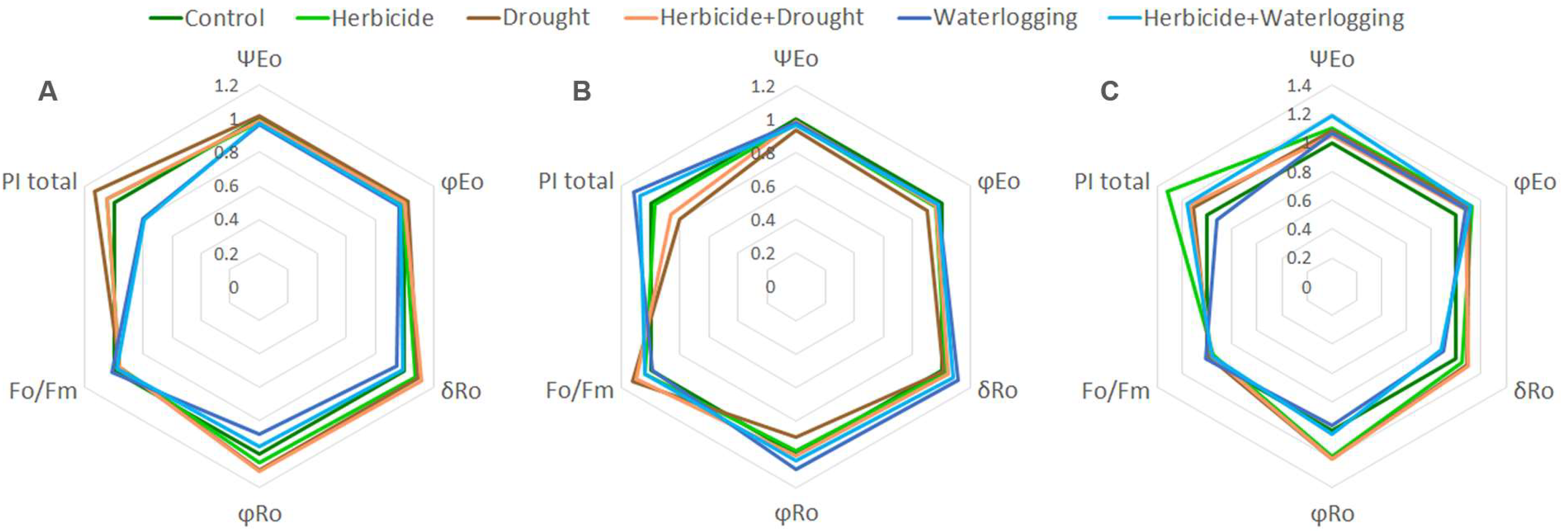 Agronomy 13 01992 g005