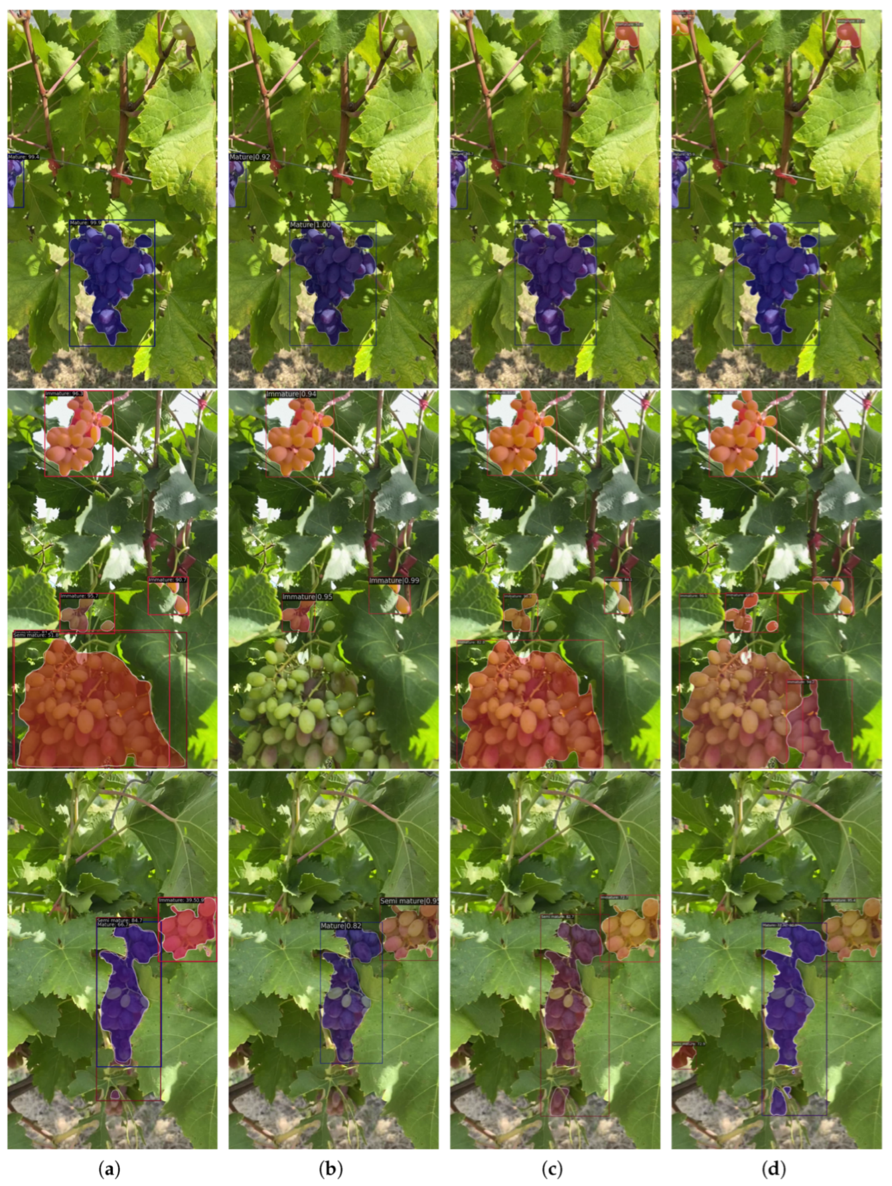 Agronomy 13 01995 g005