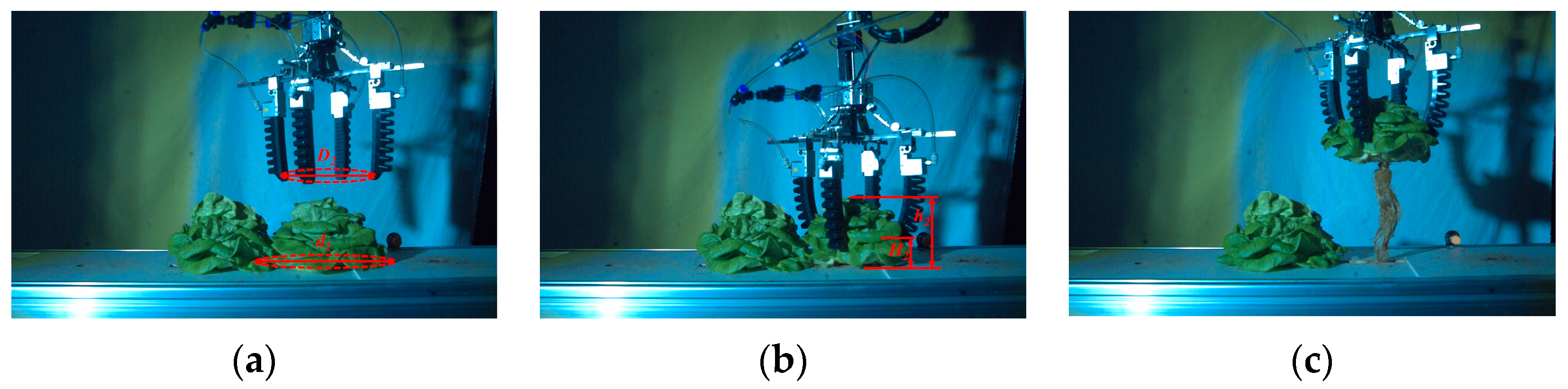 Agronomy 13 01996 g023