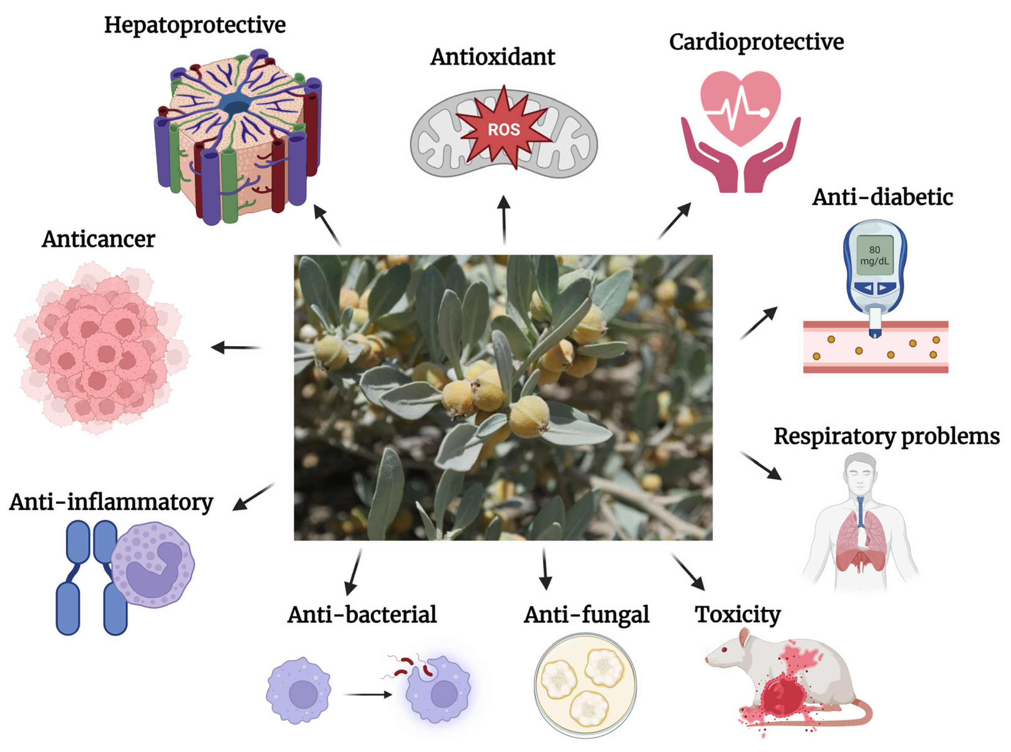 Agronomy 13 01997 g002