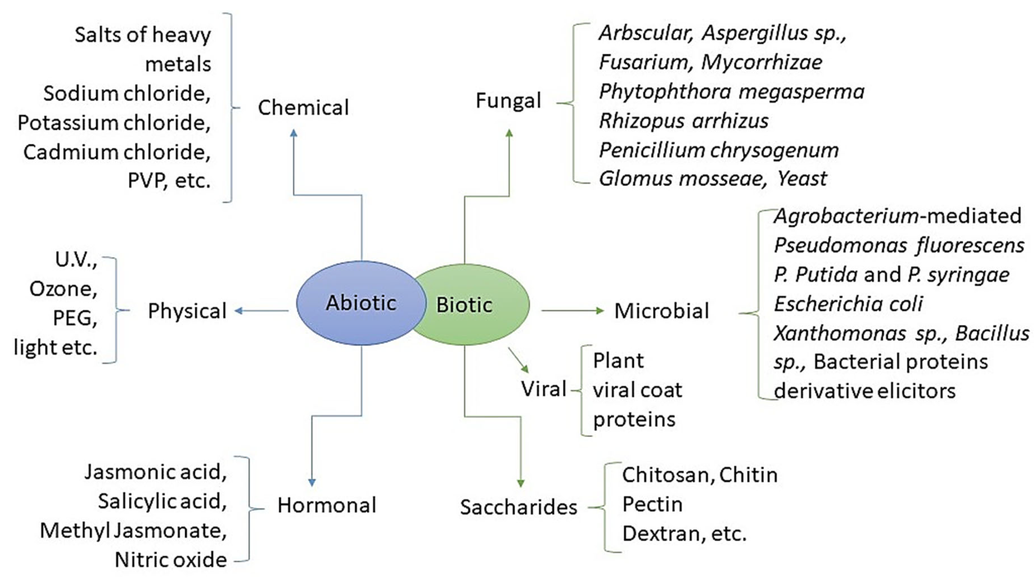 Agronomy 13 01997 g004