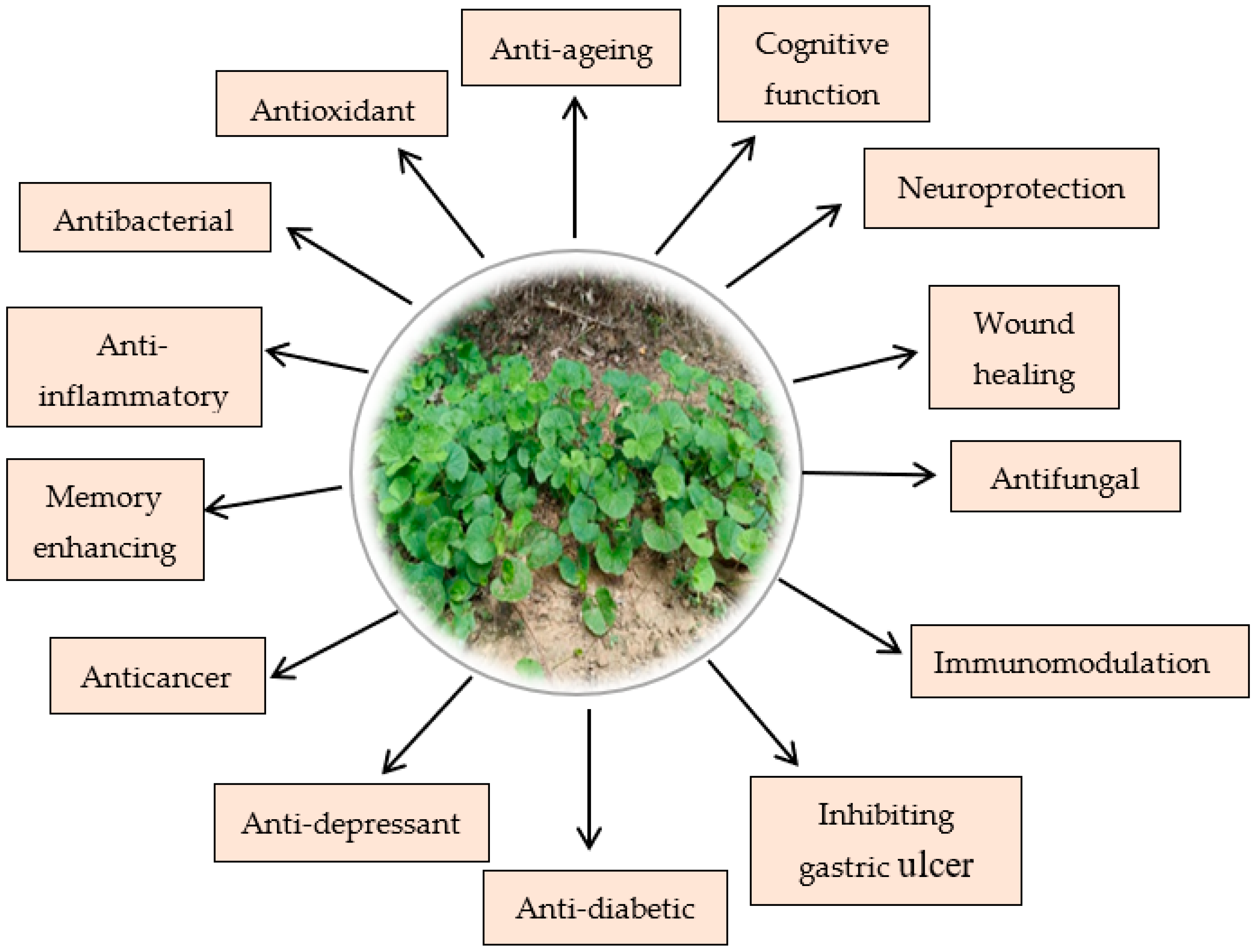 Agronomy 13 01999 g002