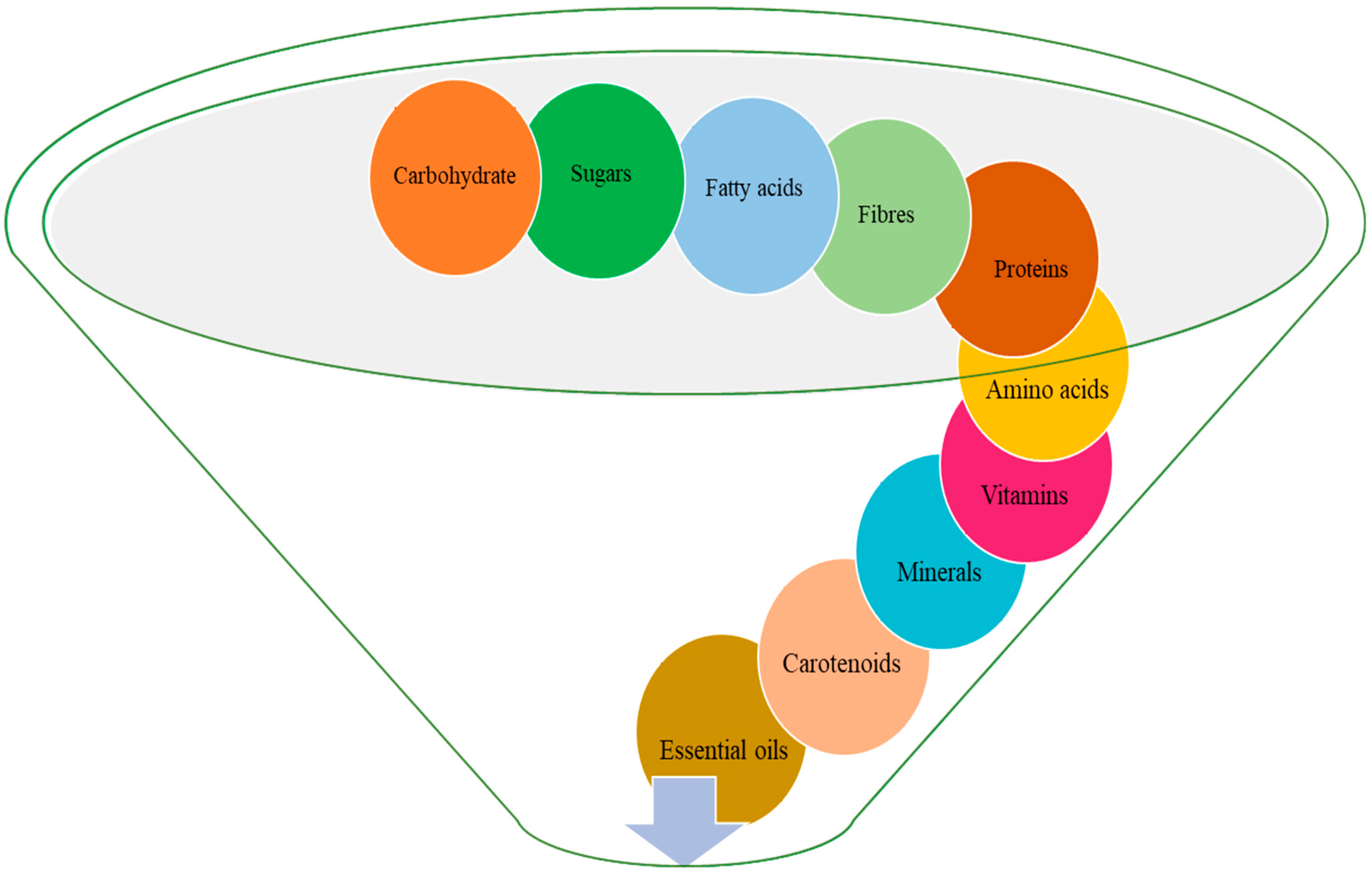 Agronomy 13 01999 g003