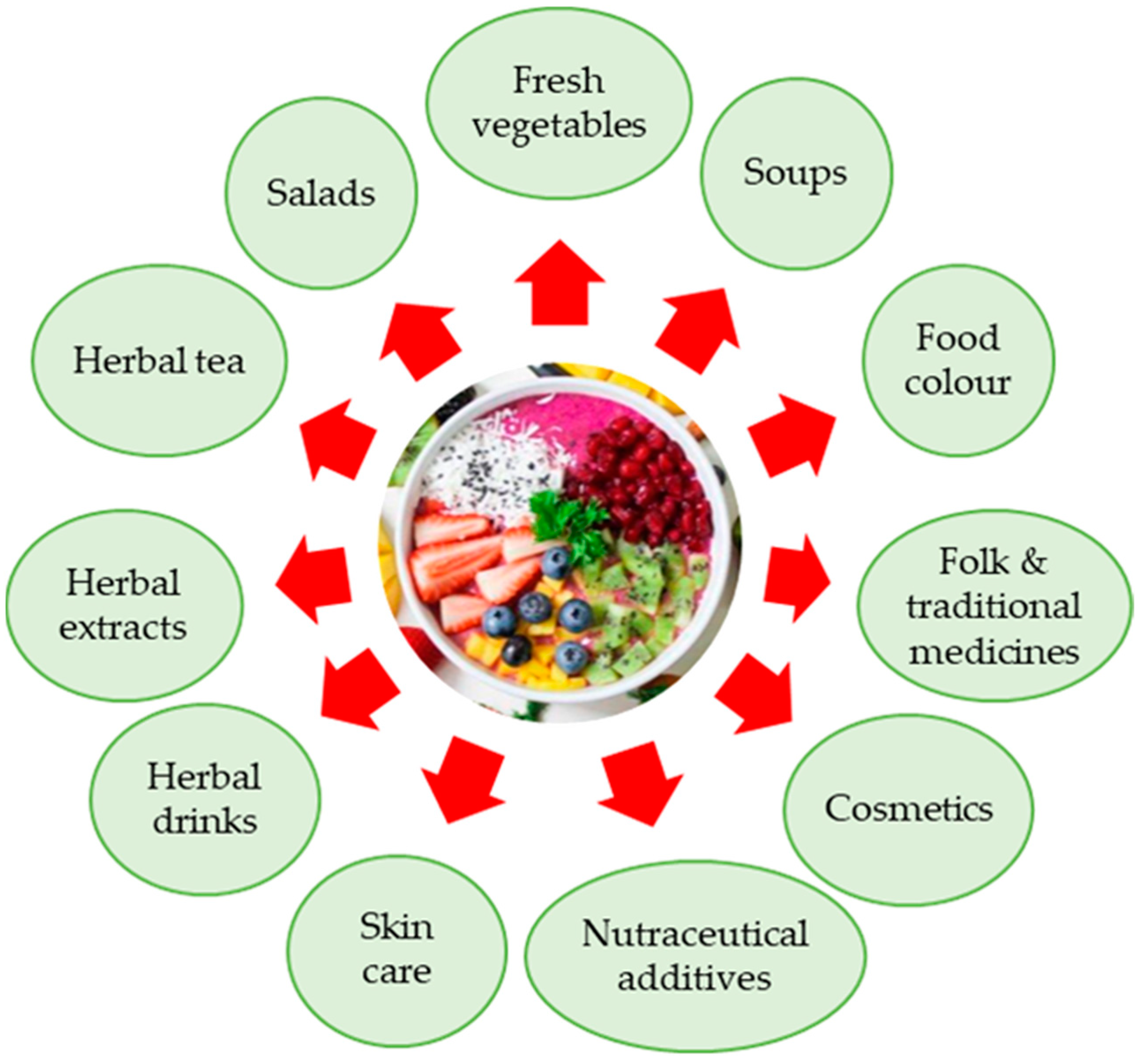 Agronomy 13 01999 g004