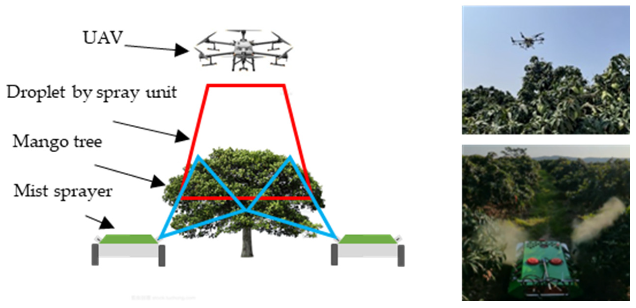 Agronomy 13 02007 g001
