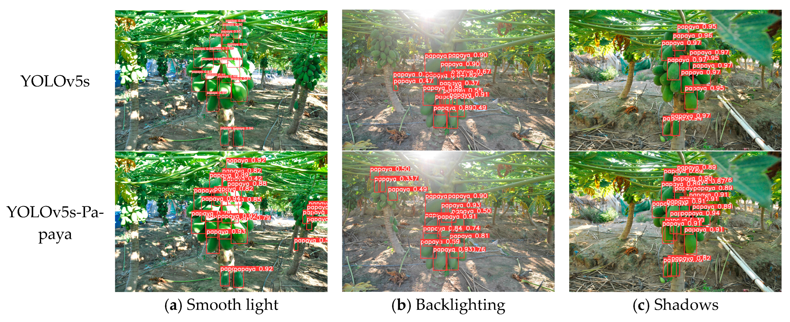 Agronomy 13 02019 g010 Agronomy 13 02019 g010