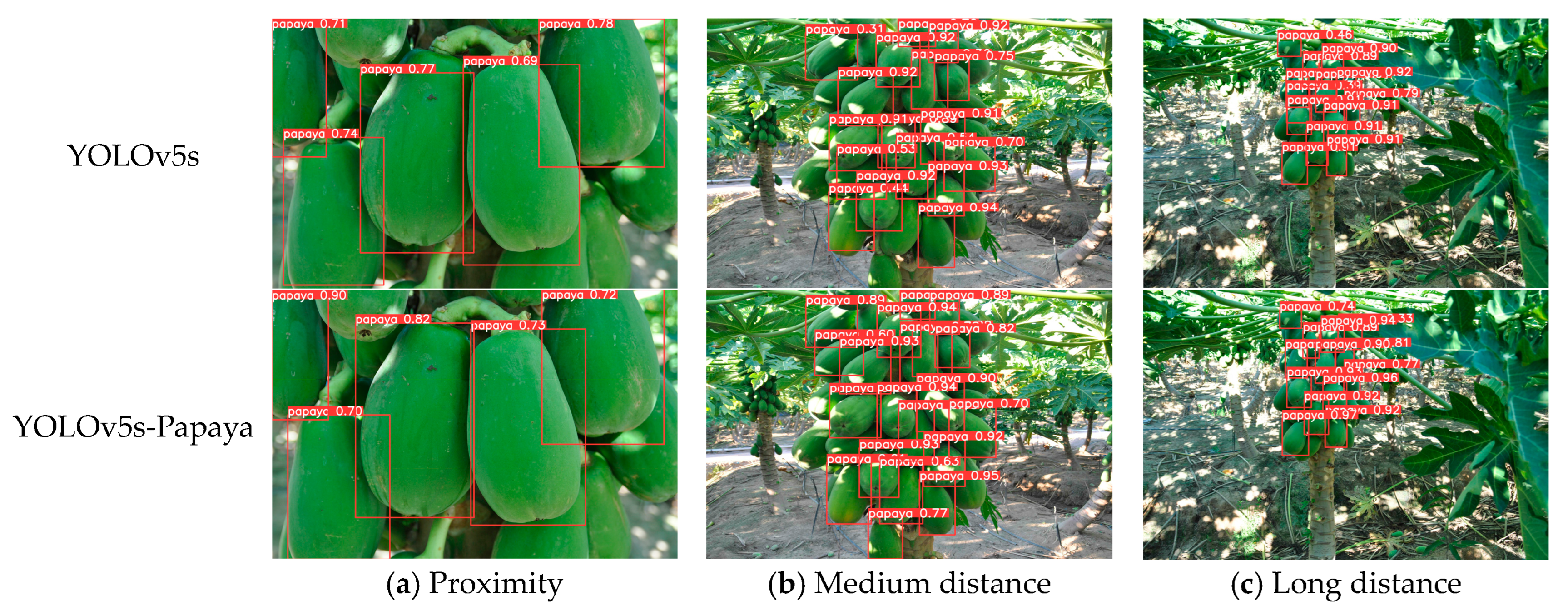 Agronomy 13 02019 g011 Agronomy 13 02019 g011