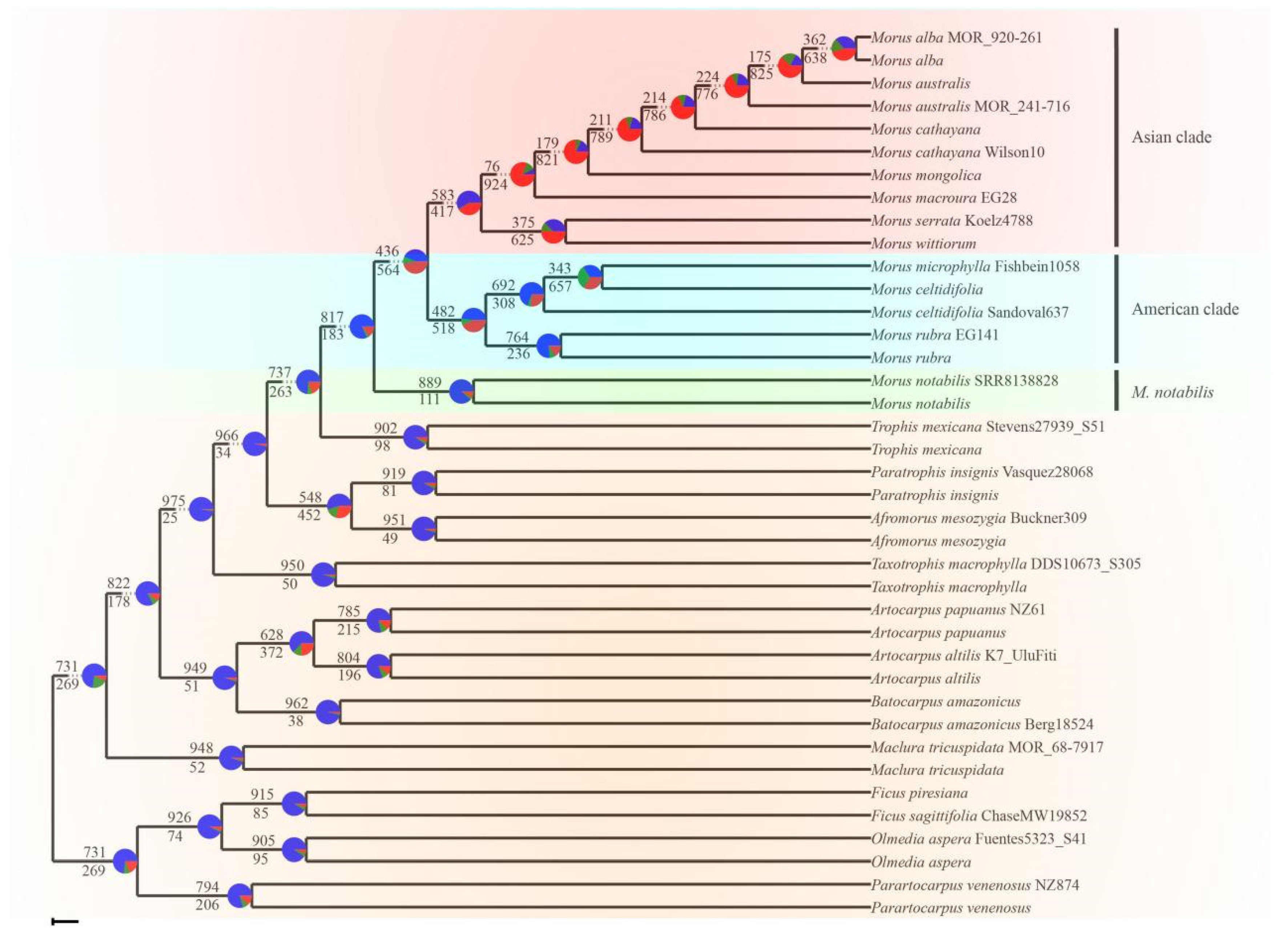 Agronomy 13 02021 g003 Agronomy 13 02021 g003