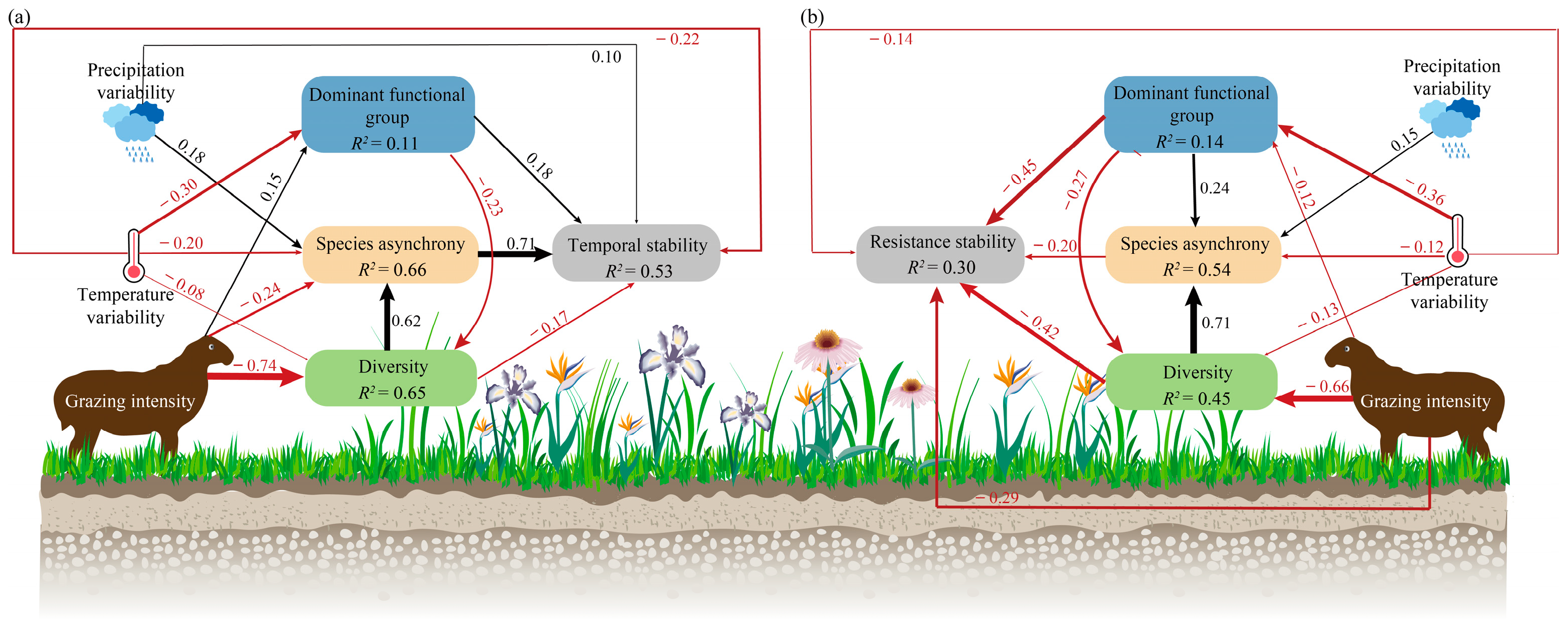 Agronomy 13 02030 g003 Agronomy 13 02030 g003