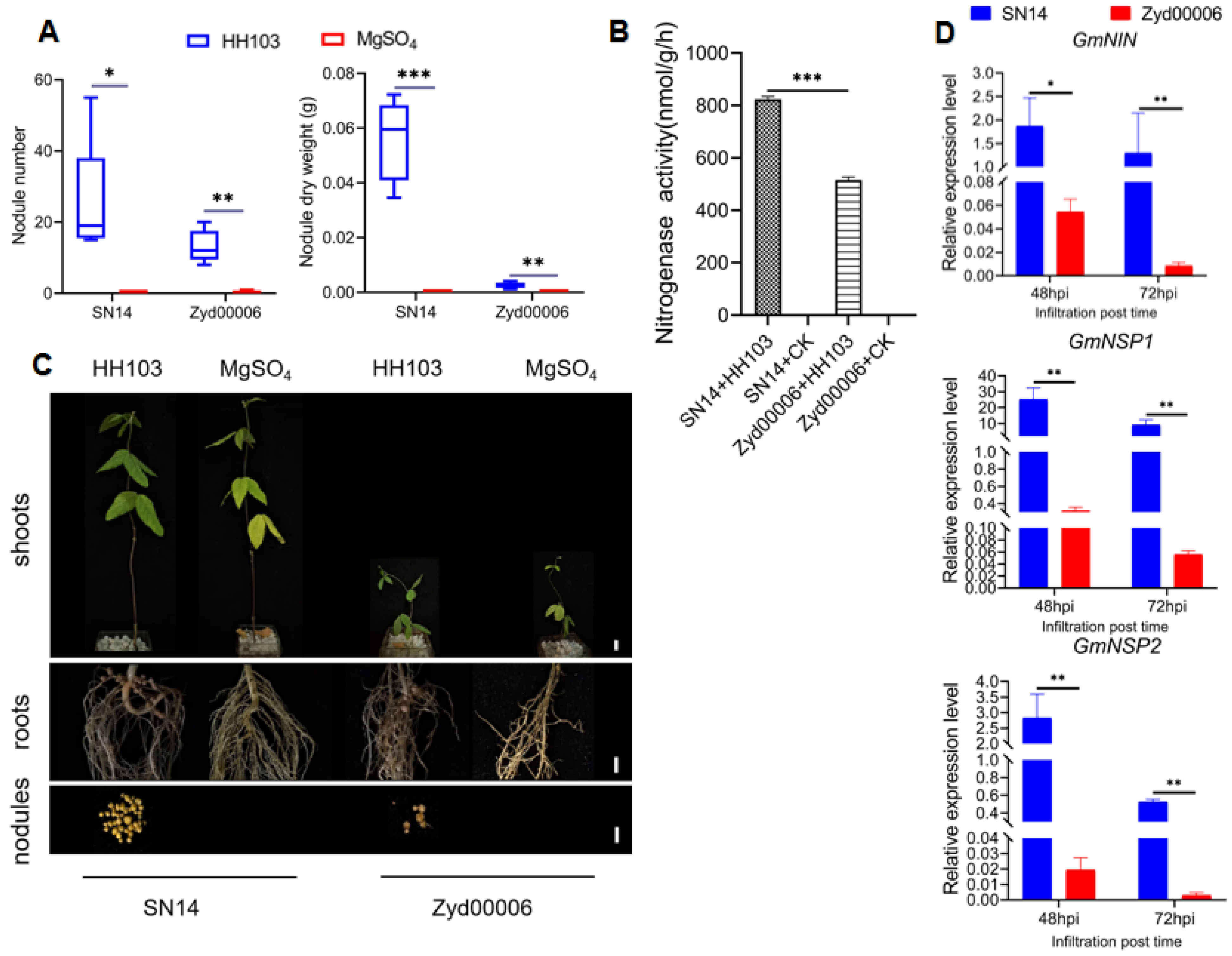 Agronomy 13 02037 g001 Agronomy 13 02037 g001