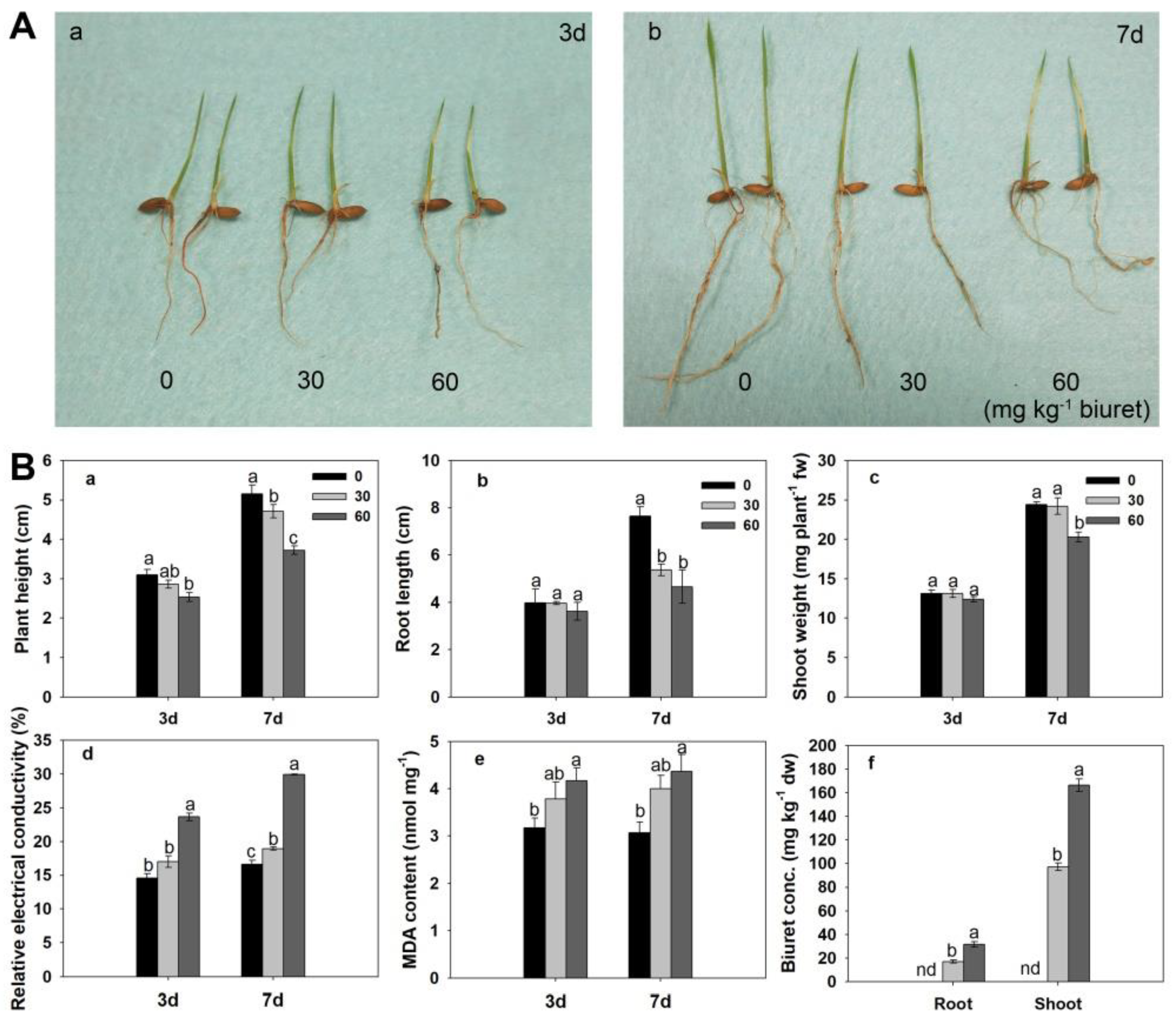 Agronomy 13 02052 g001 Agronomy 13 02052 g001
