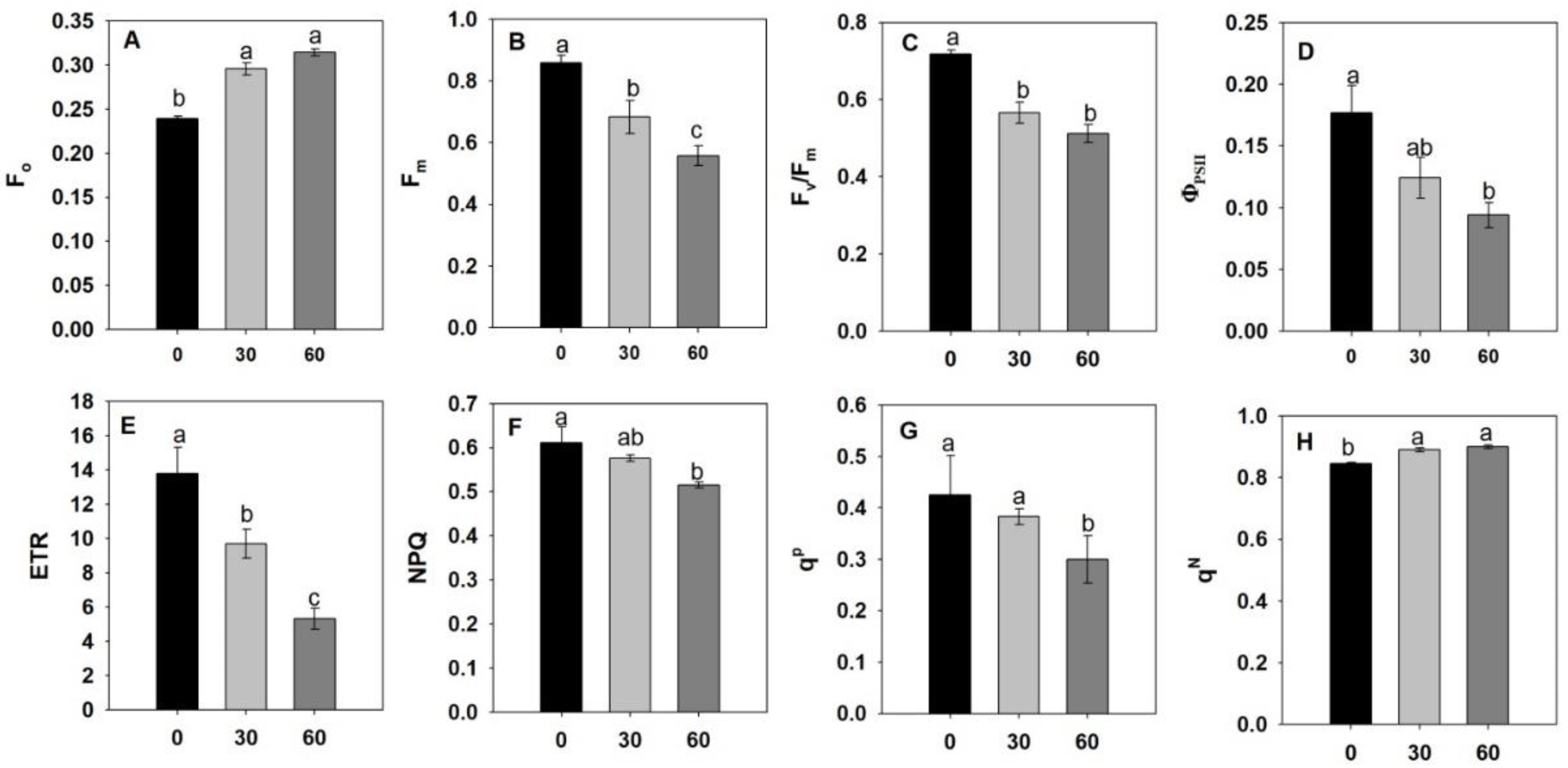 Agronomy 13 02052 g004 Agronomy 13 02052 g004