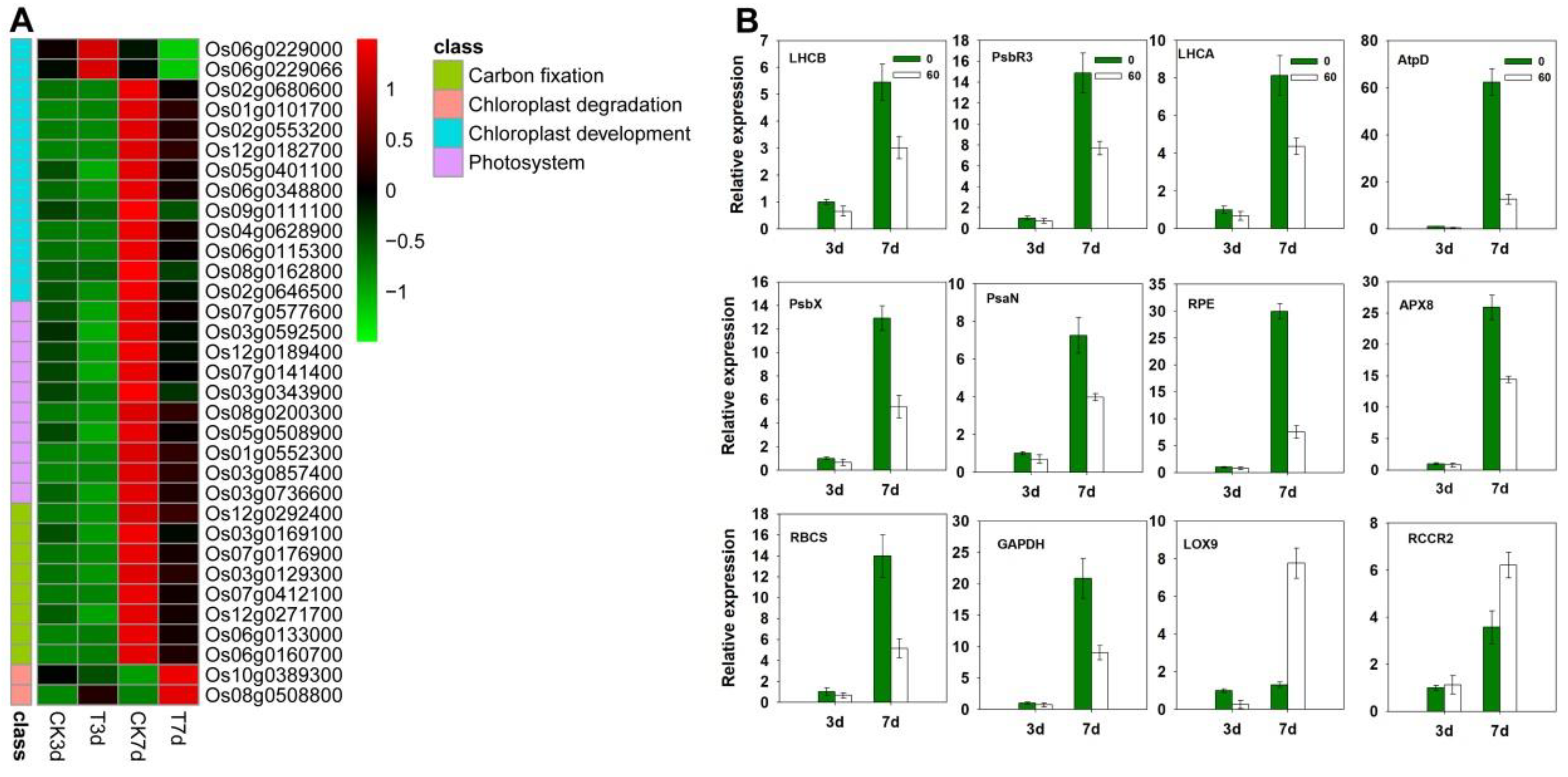 Agronomy 13 02052 g007 Agronomy 13 02052 g007