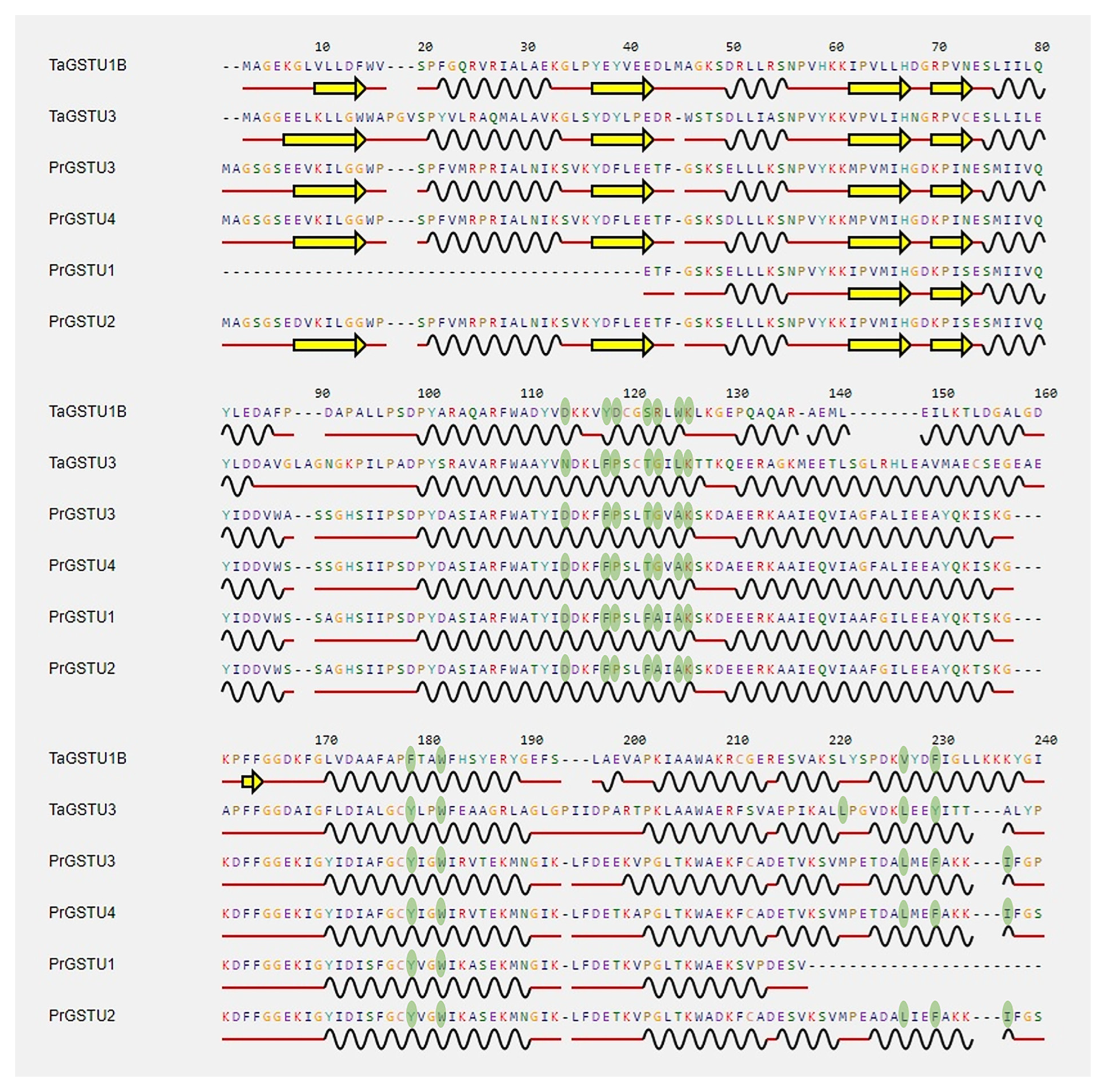Agronomy 13 02053 g008 Agronomy 13 02053 g008