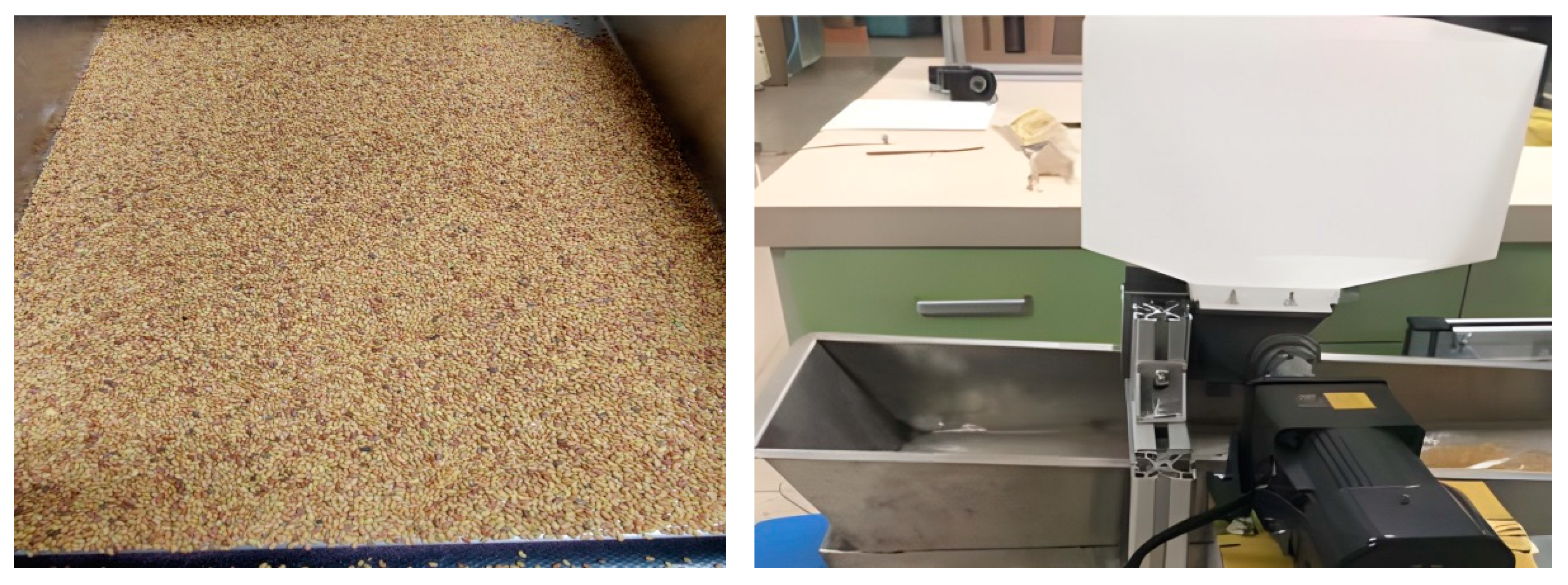 Agronomy 13 02055 g009