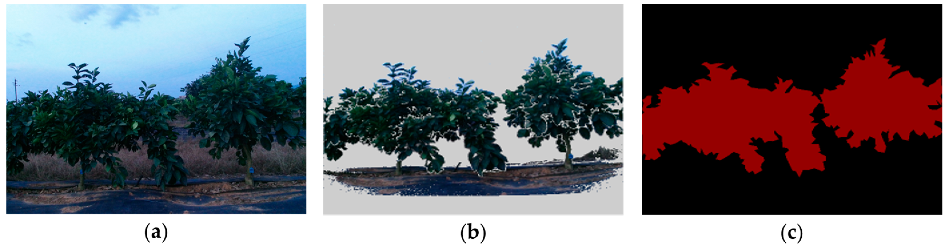 Agronomy 13 02059 g004 Agronomy 13 02059 g004