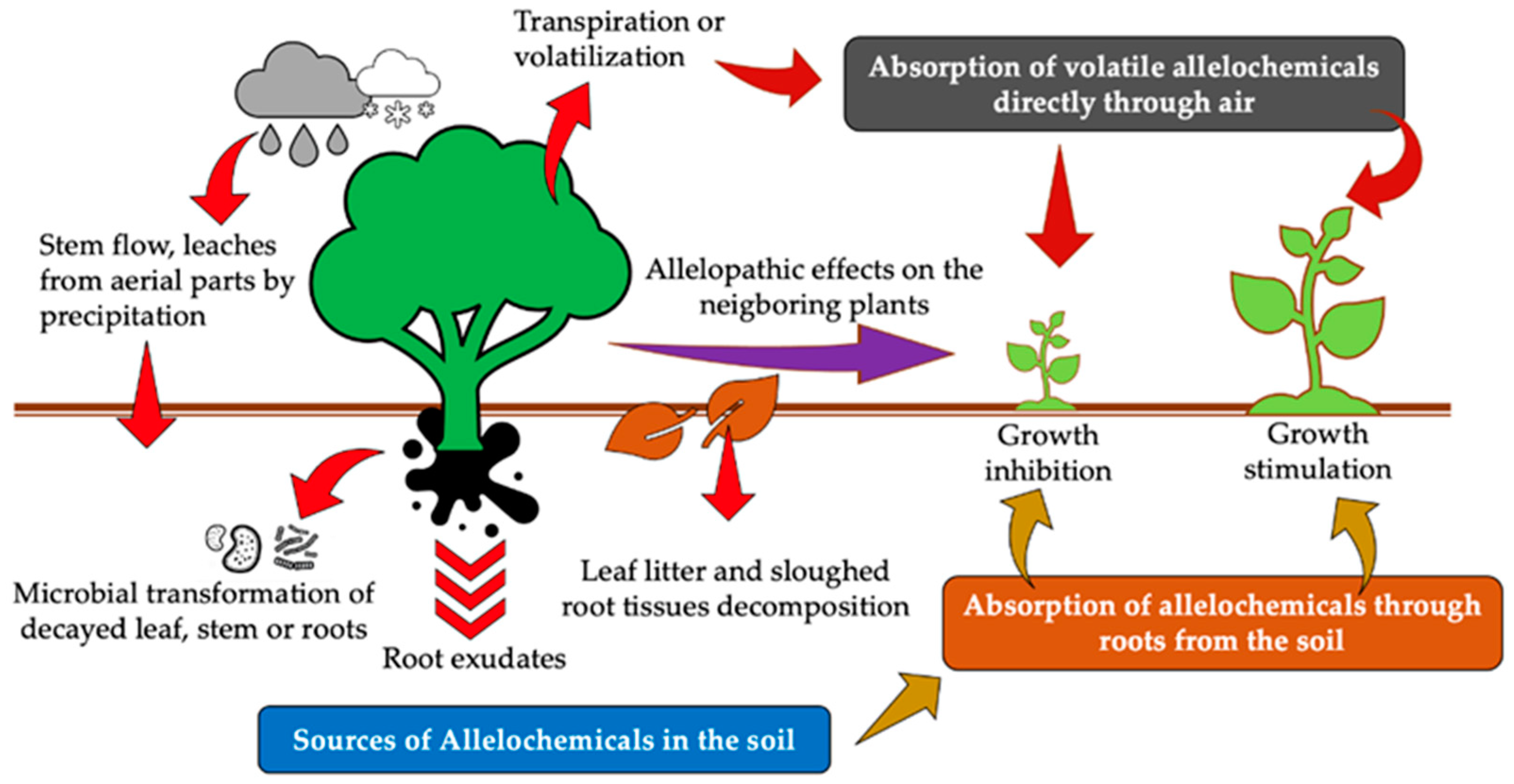 Allelopathic Potential of Tropical Plants—A Review