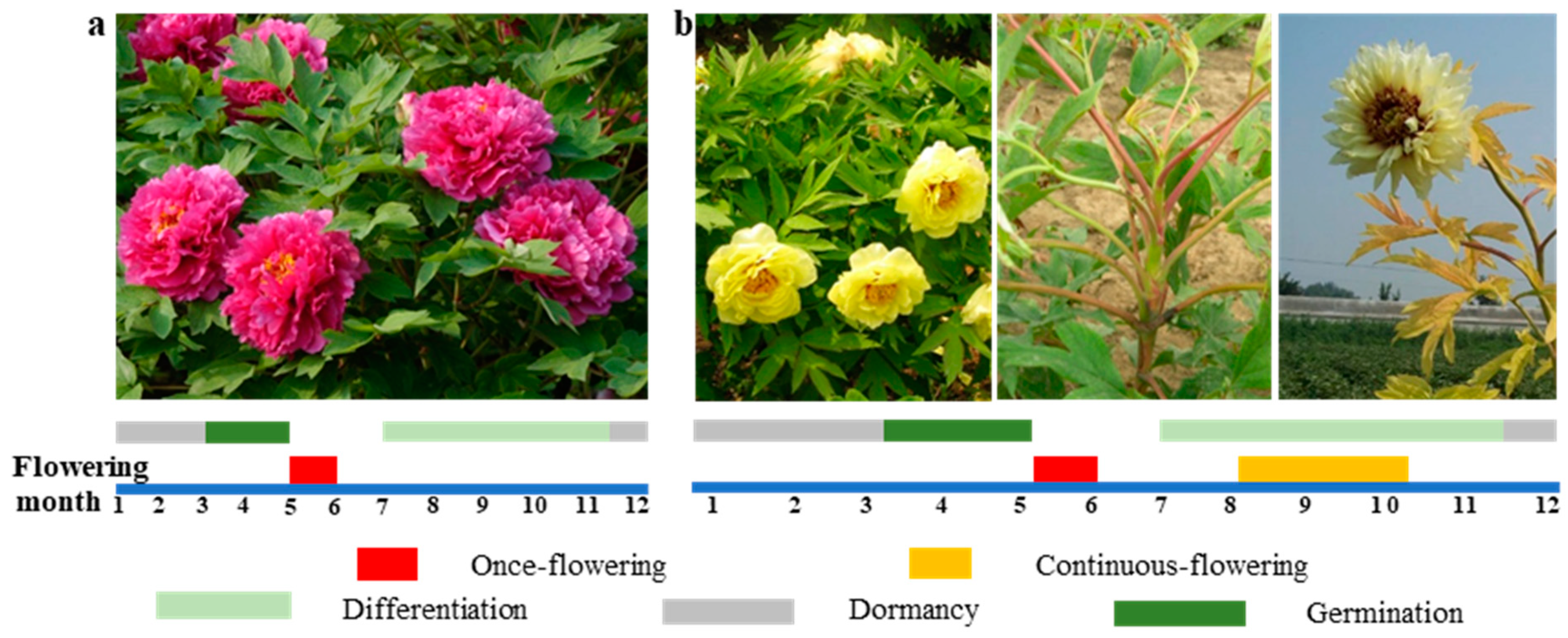 Agronomy 13 02071 g001