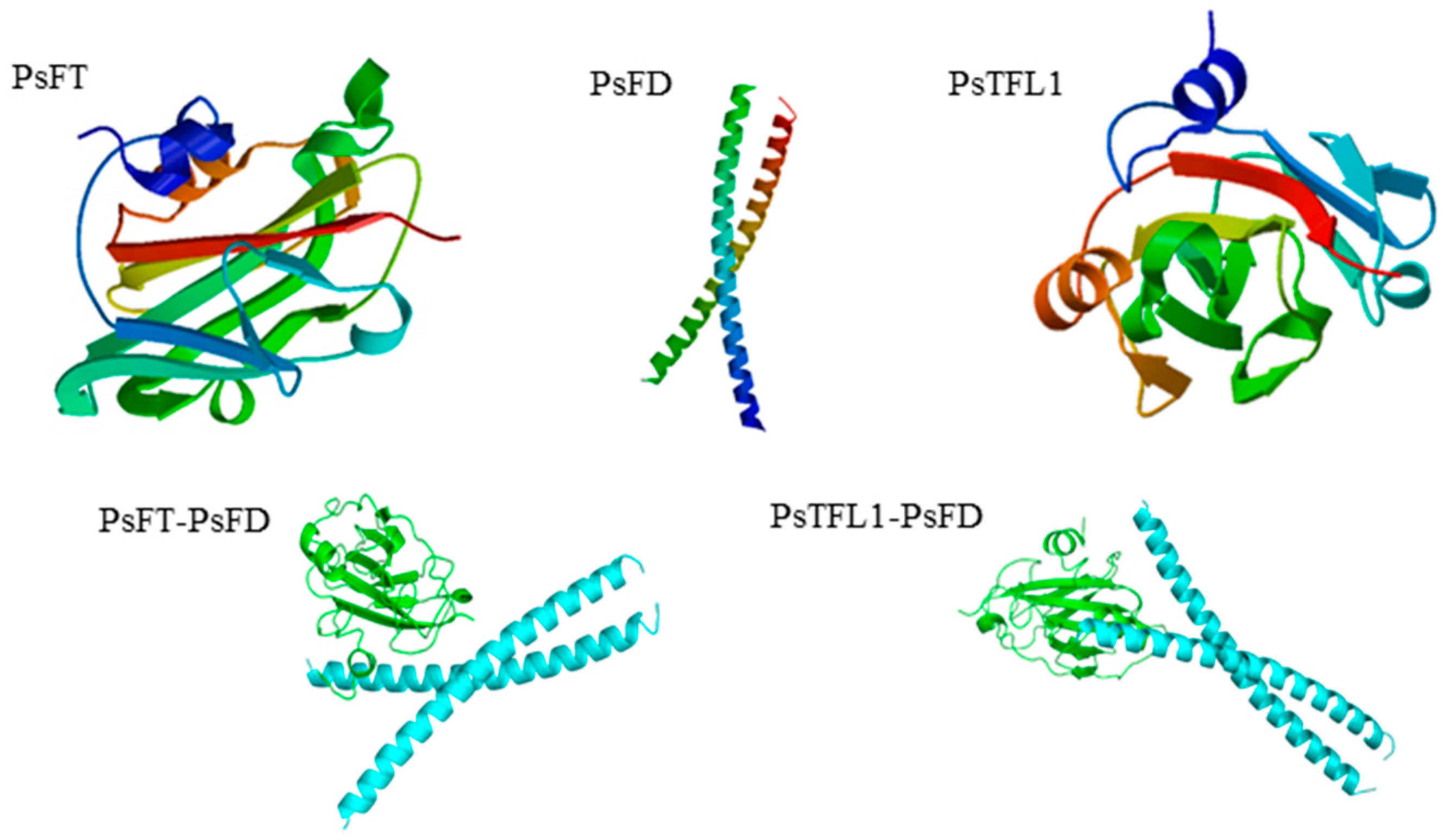 Agronomy 13 02071 g002