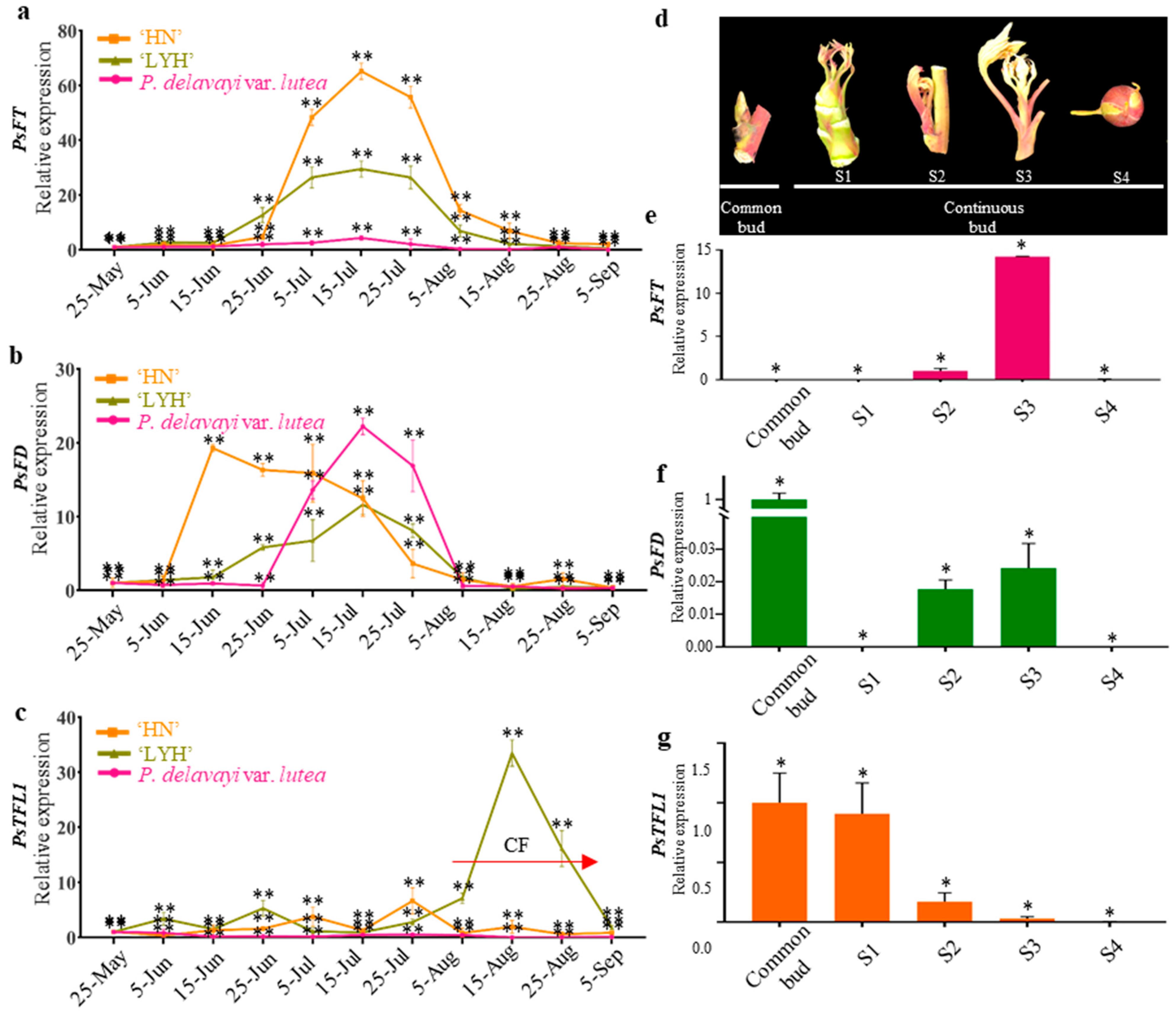 Agronomy 13 02071 g003