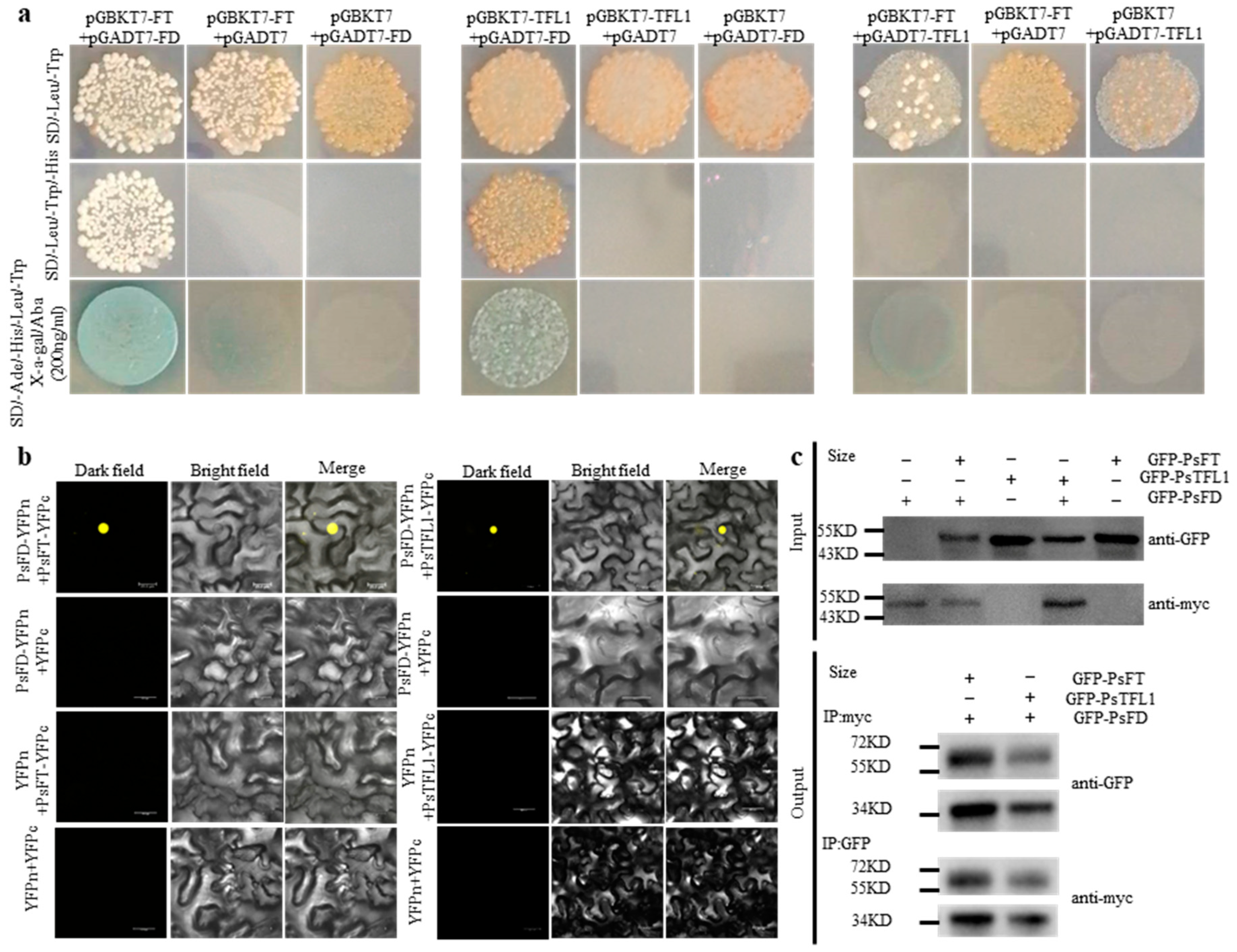Agronomy 13 02071 g006
