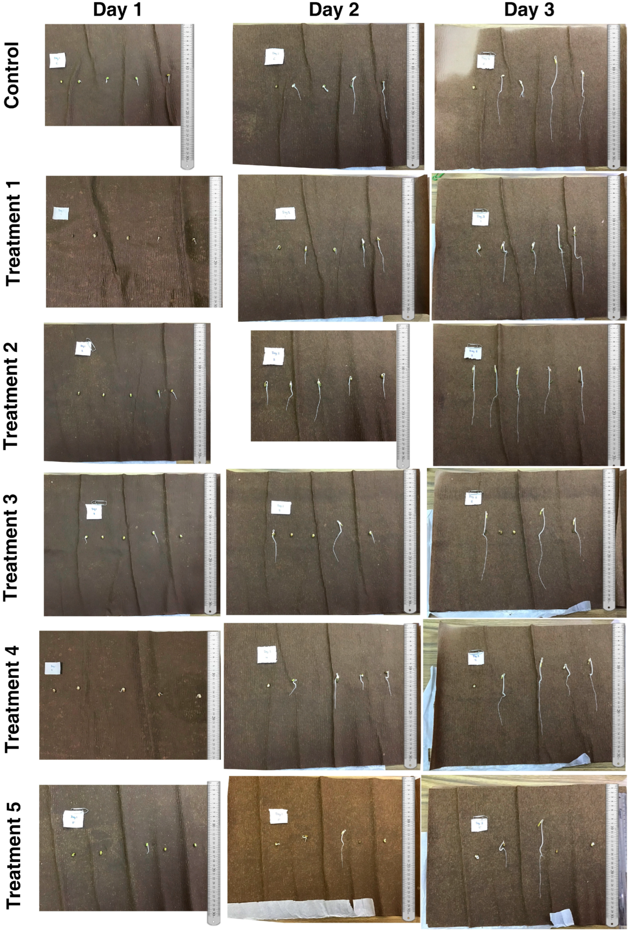 Agronomy 13 02073 g001 Agronomy 13 02073 g001