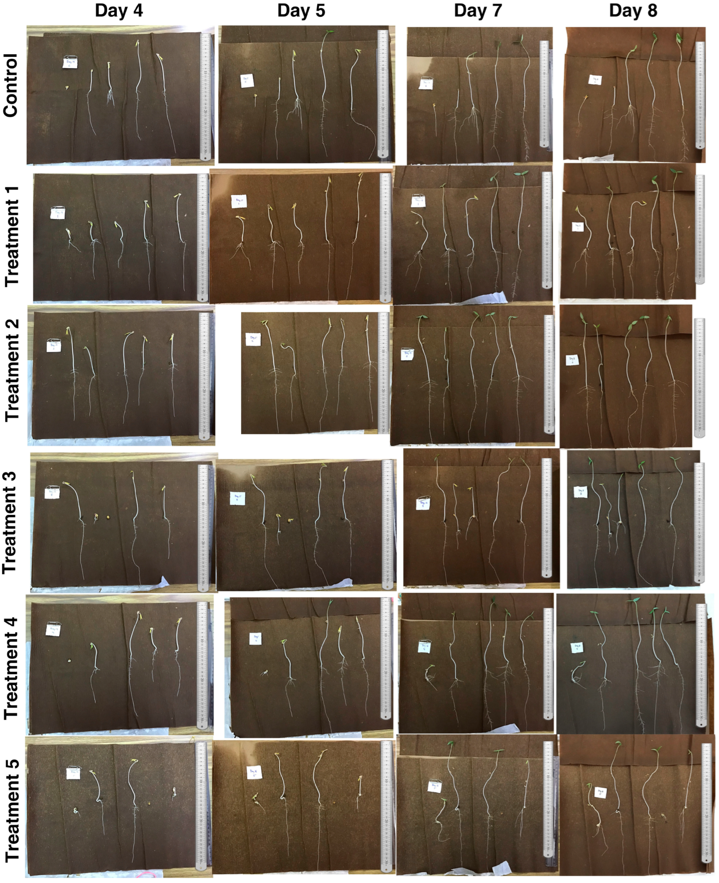 Agronomy 13 02073 g002 Agronomy 13 02073 g002
