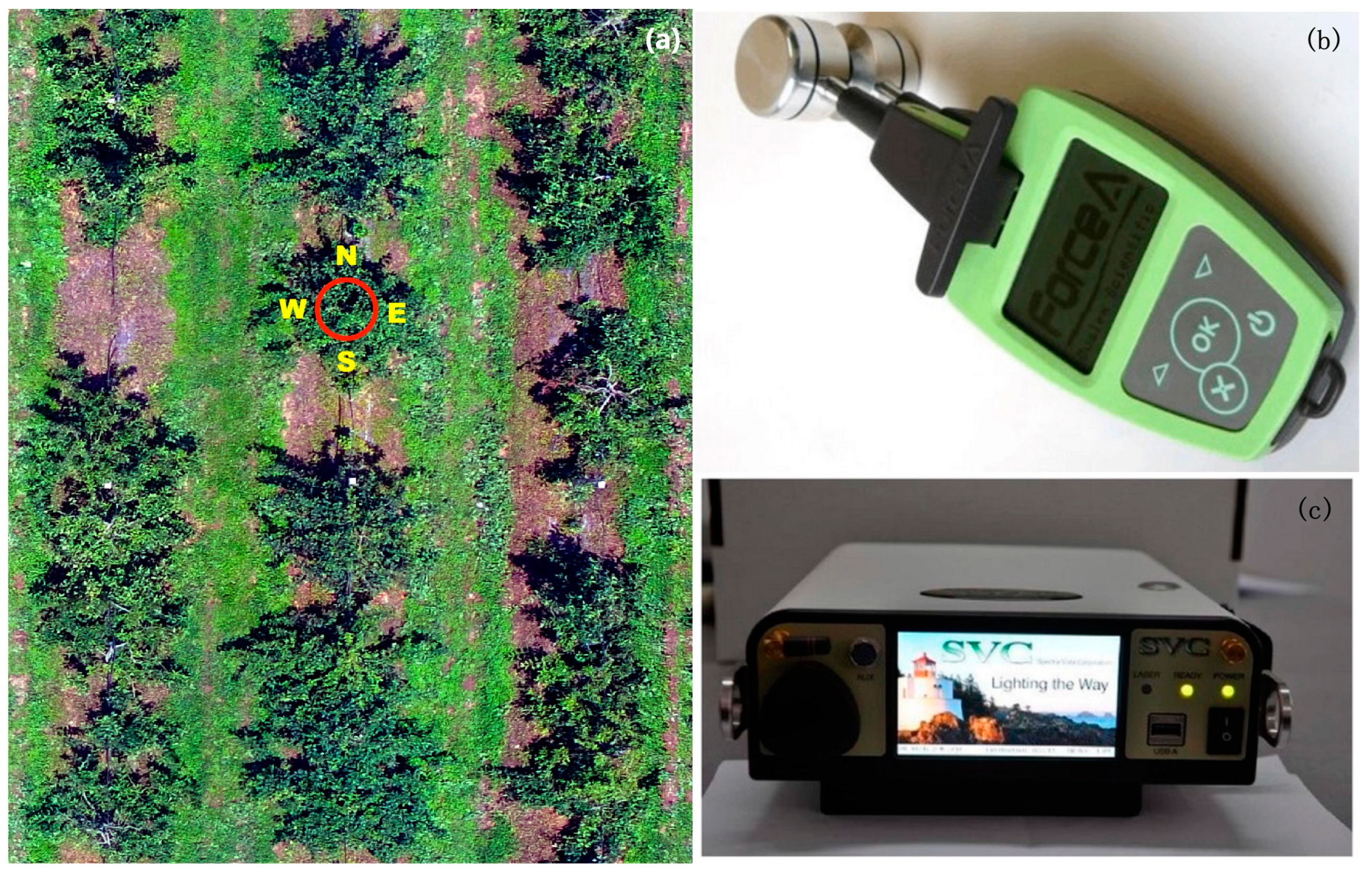 Agronomy 13 02075 g002 Agronomy 13 02075 g002