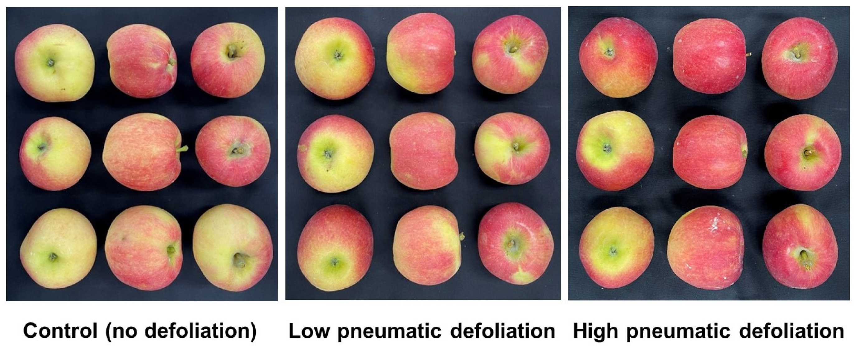 Agronomy 13 02078 g005