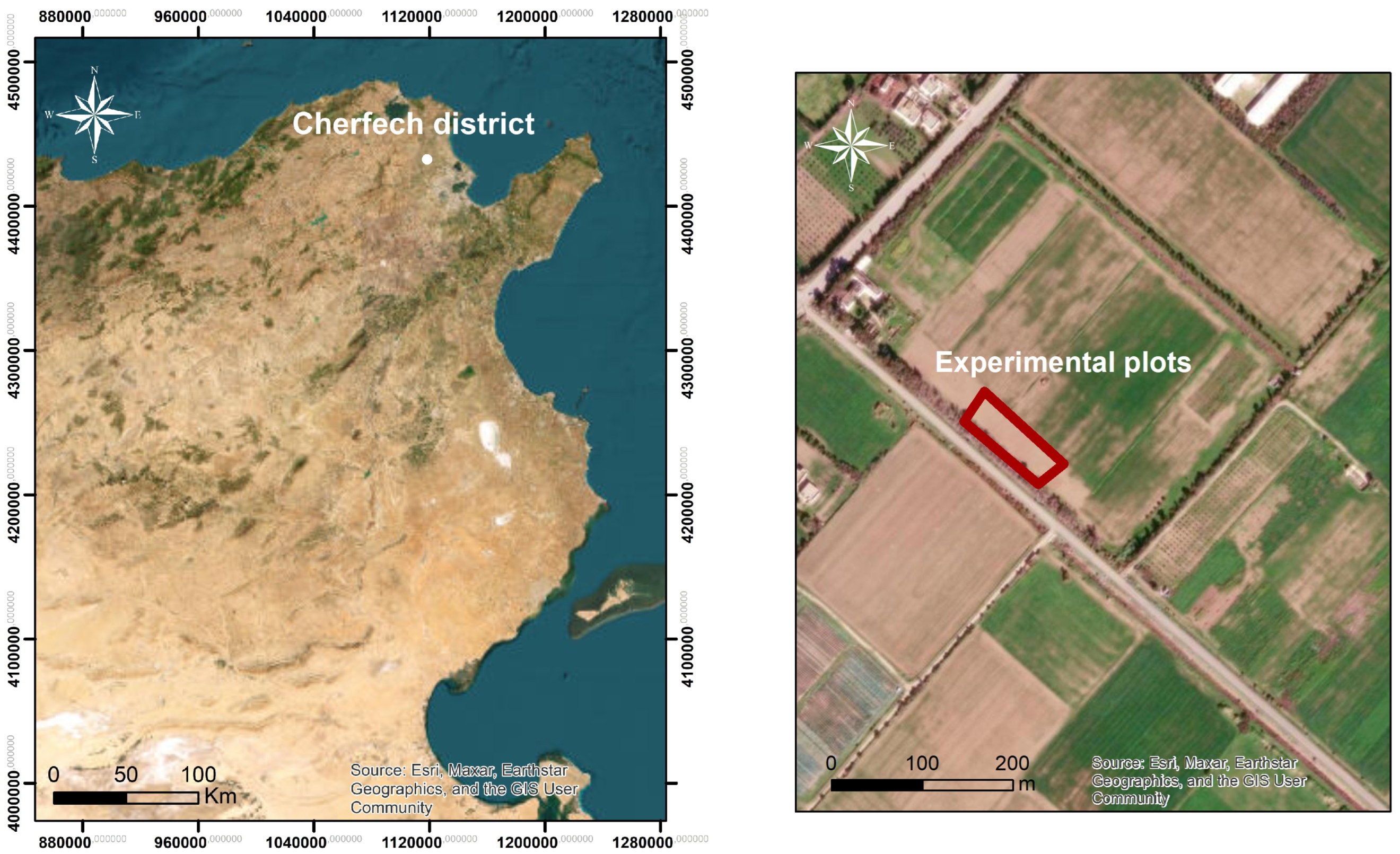 Agronomy 13 02080 g001