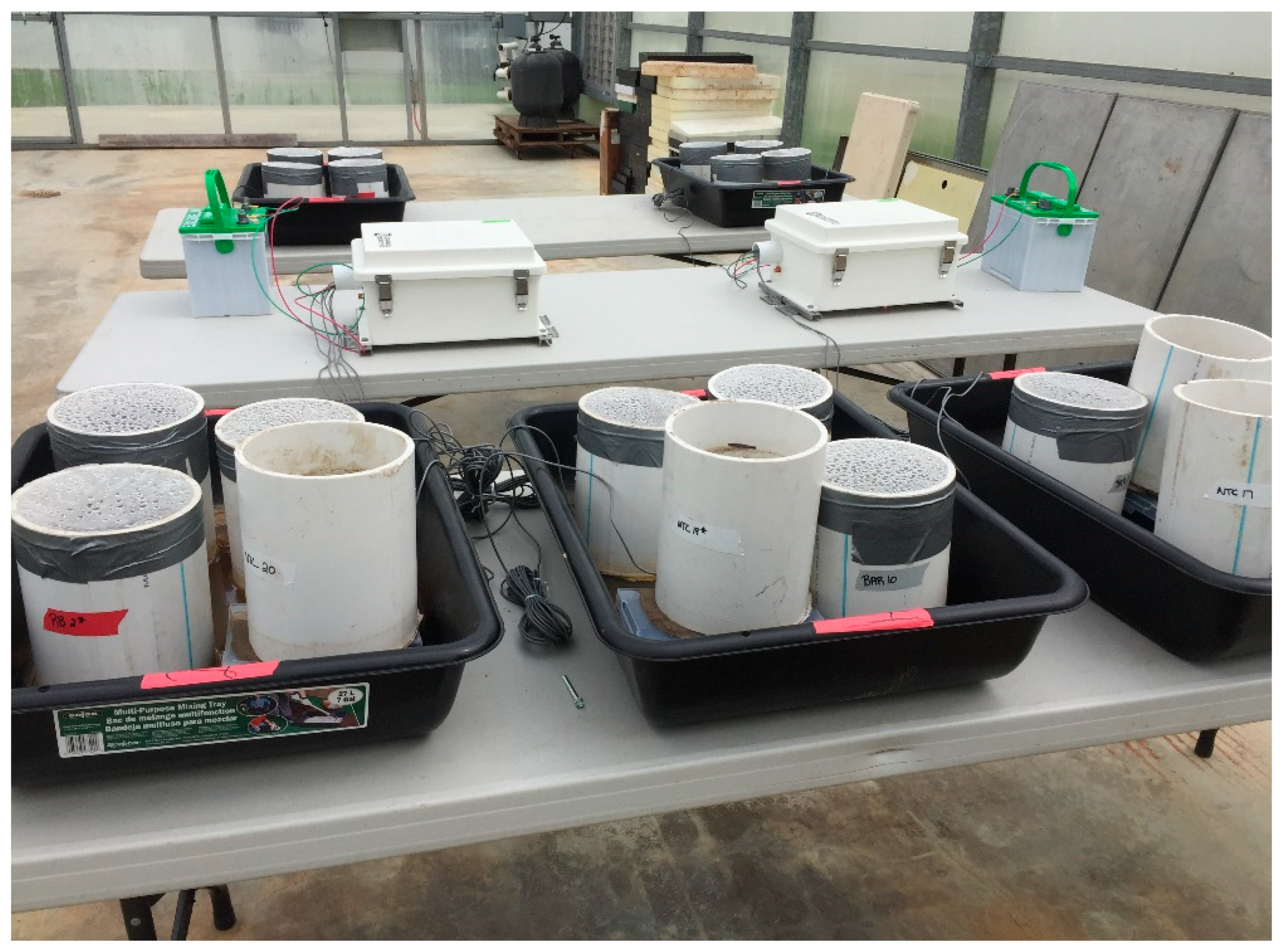 Agronomy 13 02081 g001 Agronomy 13 02081 g001