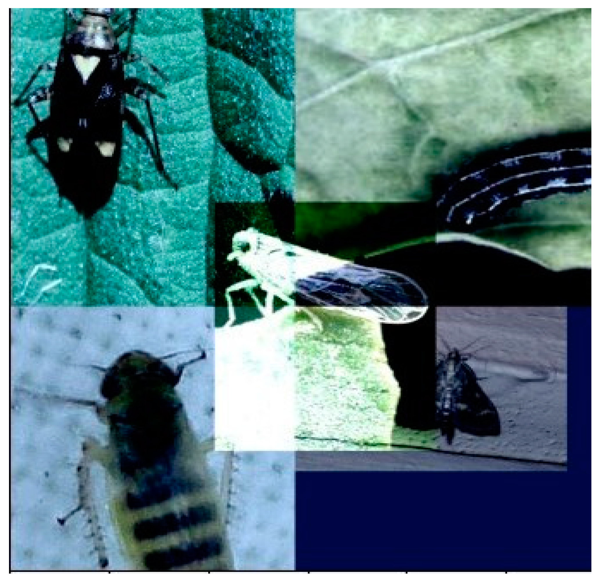 Agronomy 13 02091 g003 Agronomy 13 02091 g003