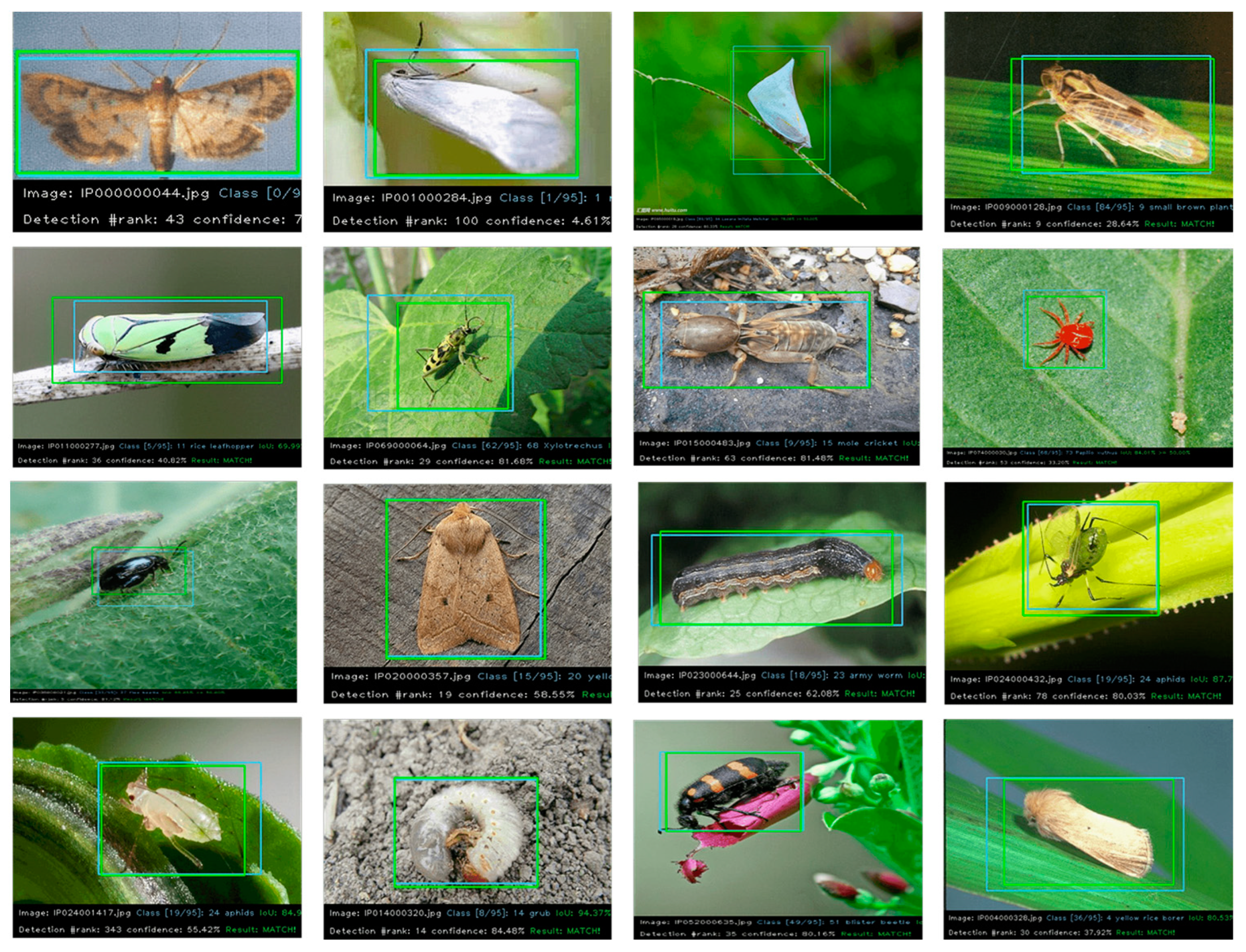 Agronomy 13 02091 g011 Agronomy 13 02091 g011