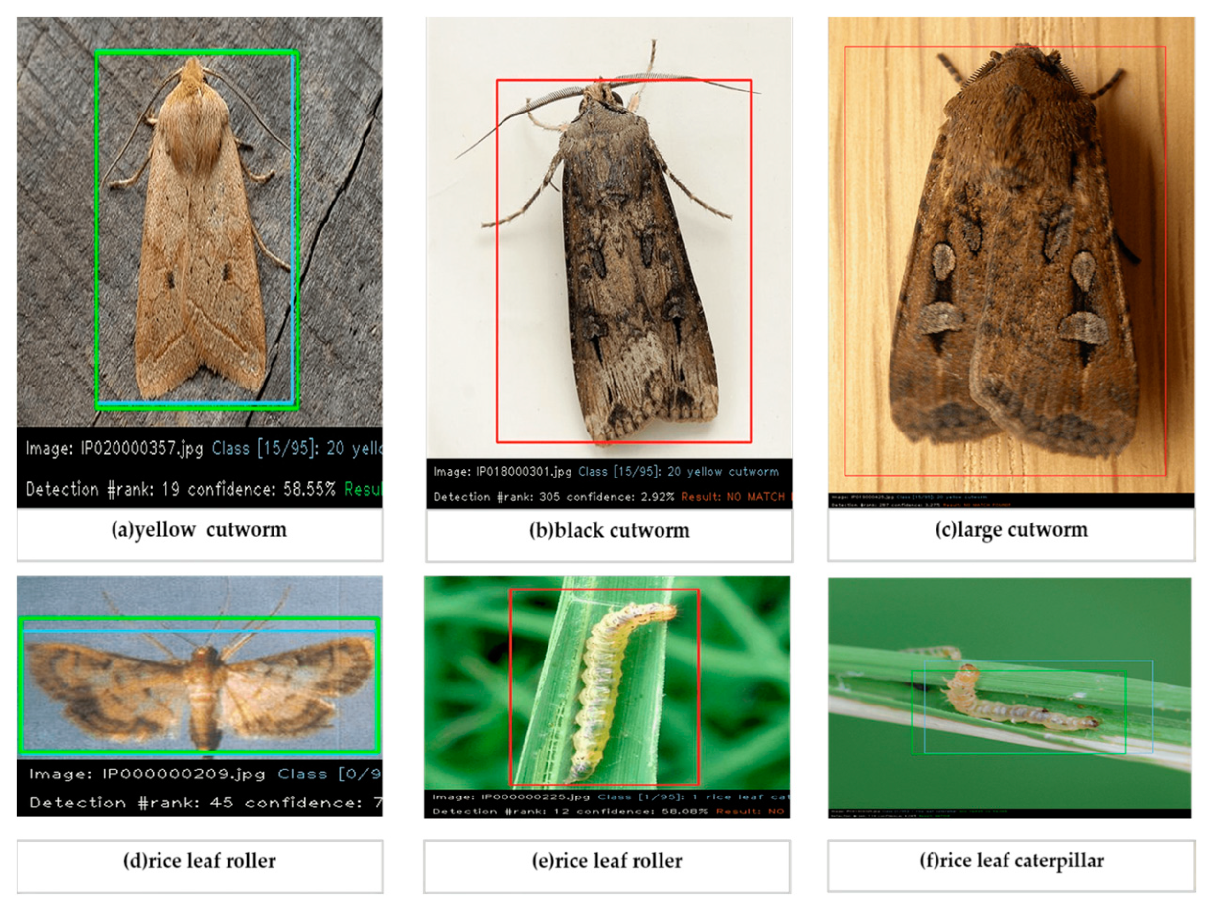 Agronomy 13 02091 g012 Agronomy 13 02091 g012