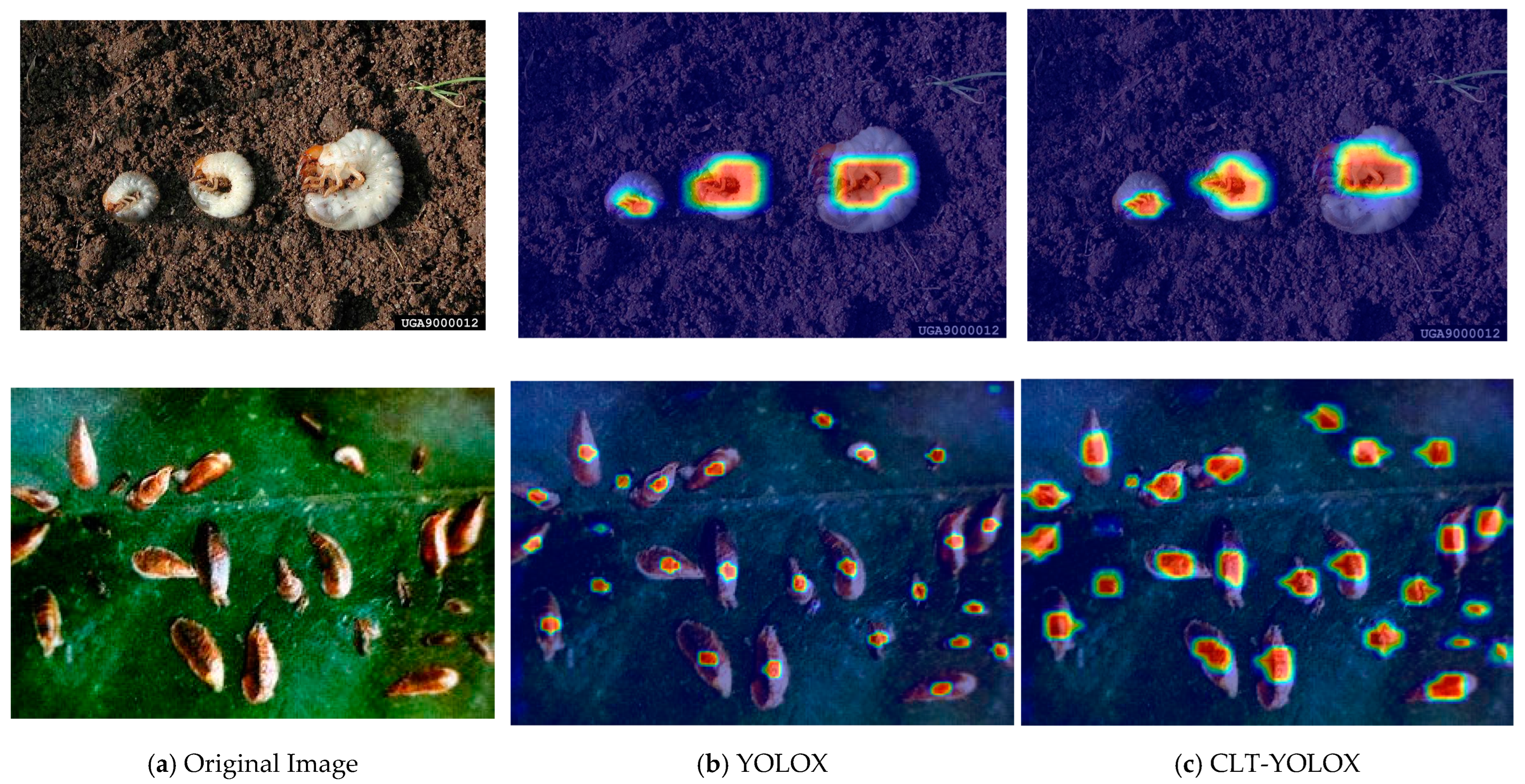 Agronomy 13 02091 g013 Agronomy 13 02091 g013