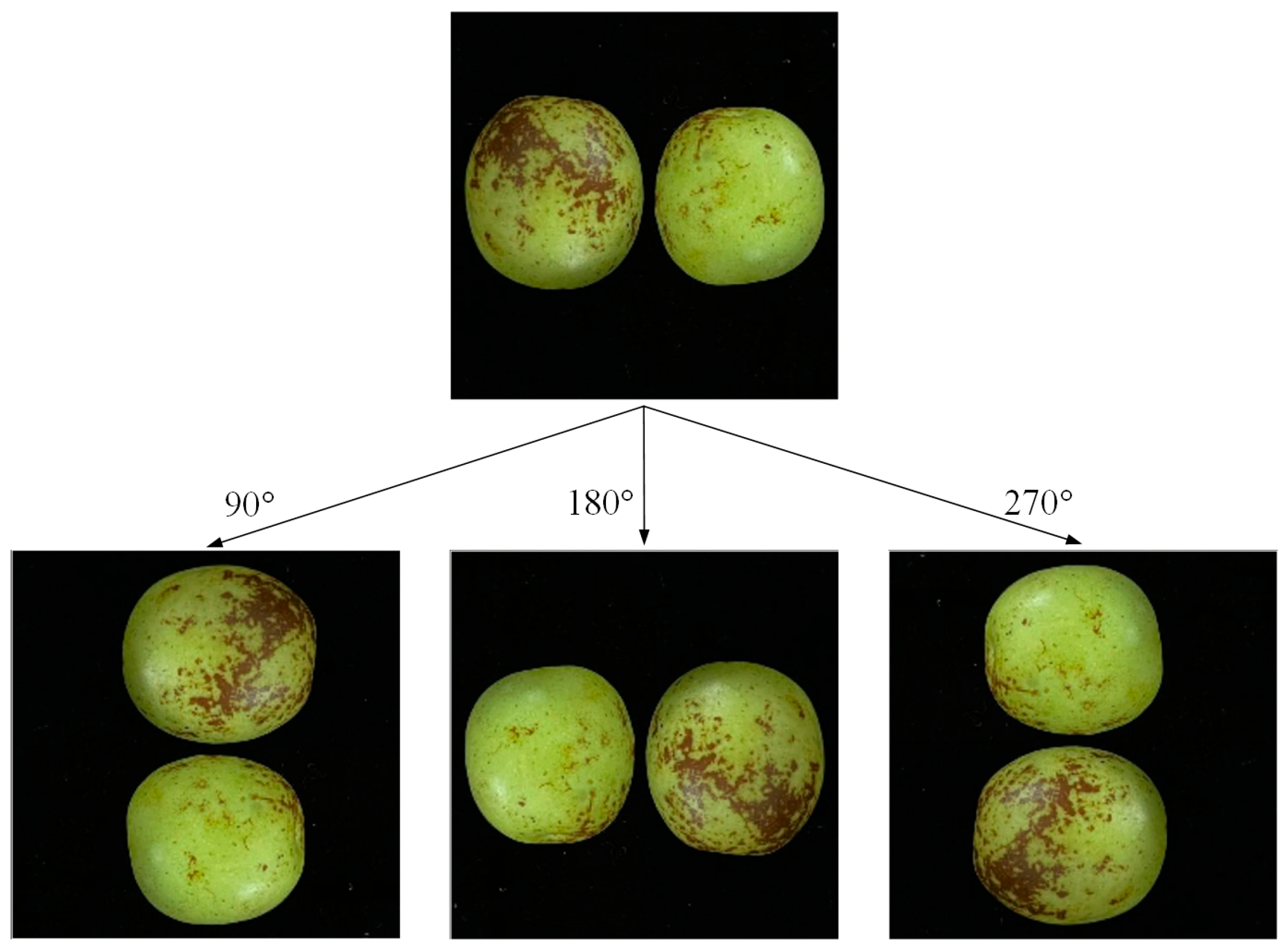 Agronomy 13 02095 g005
