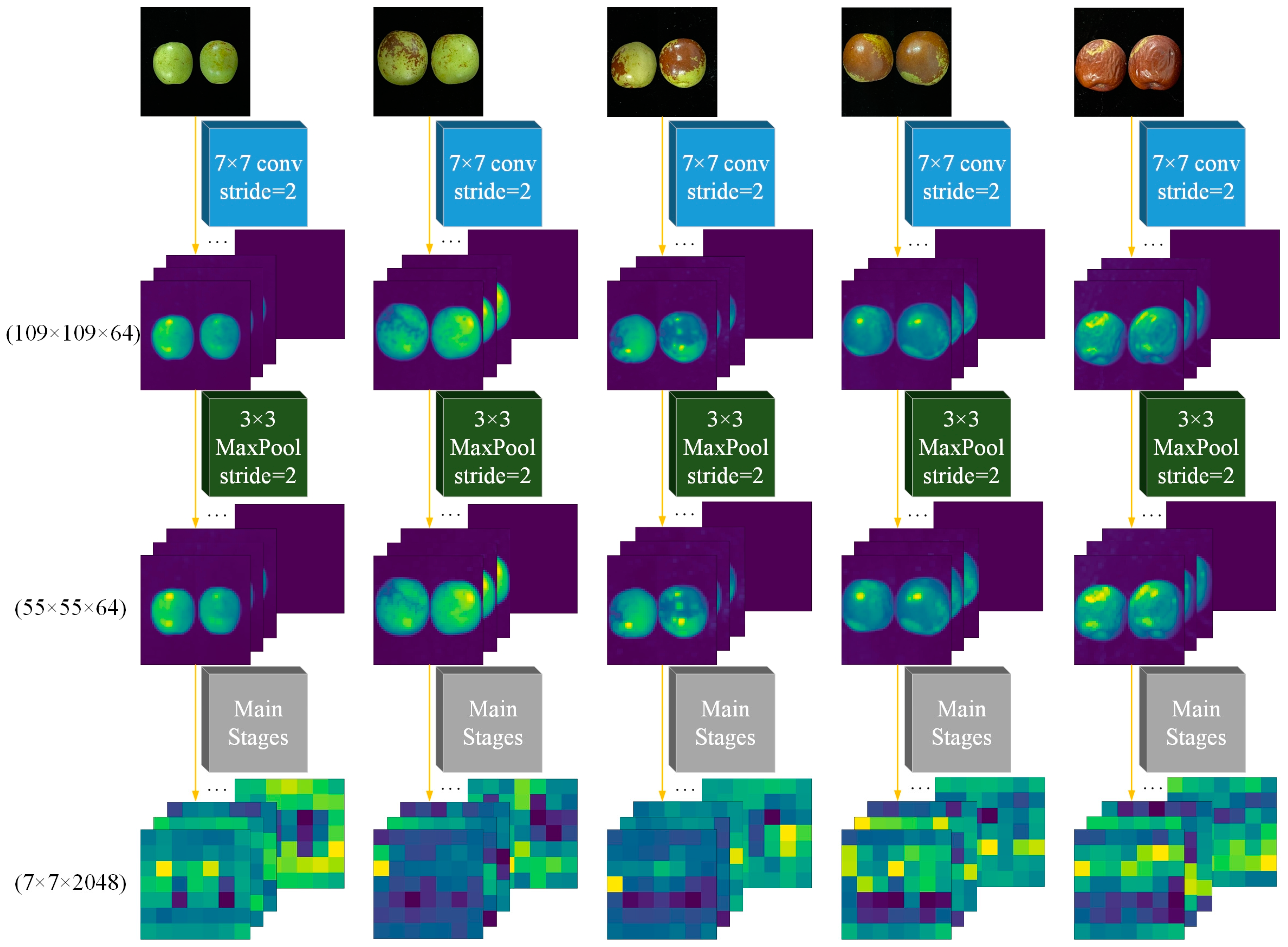 Agronomy 13 02095 g007