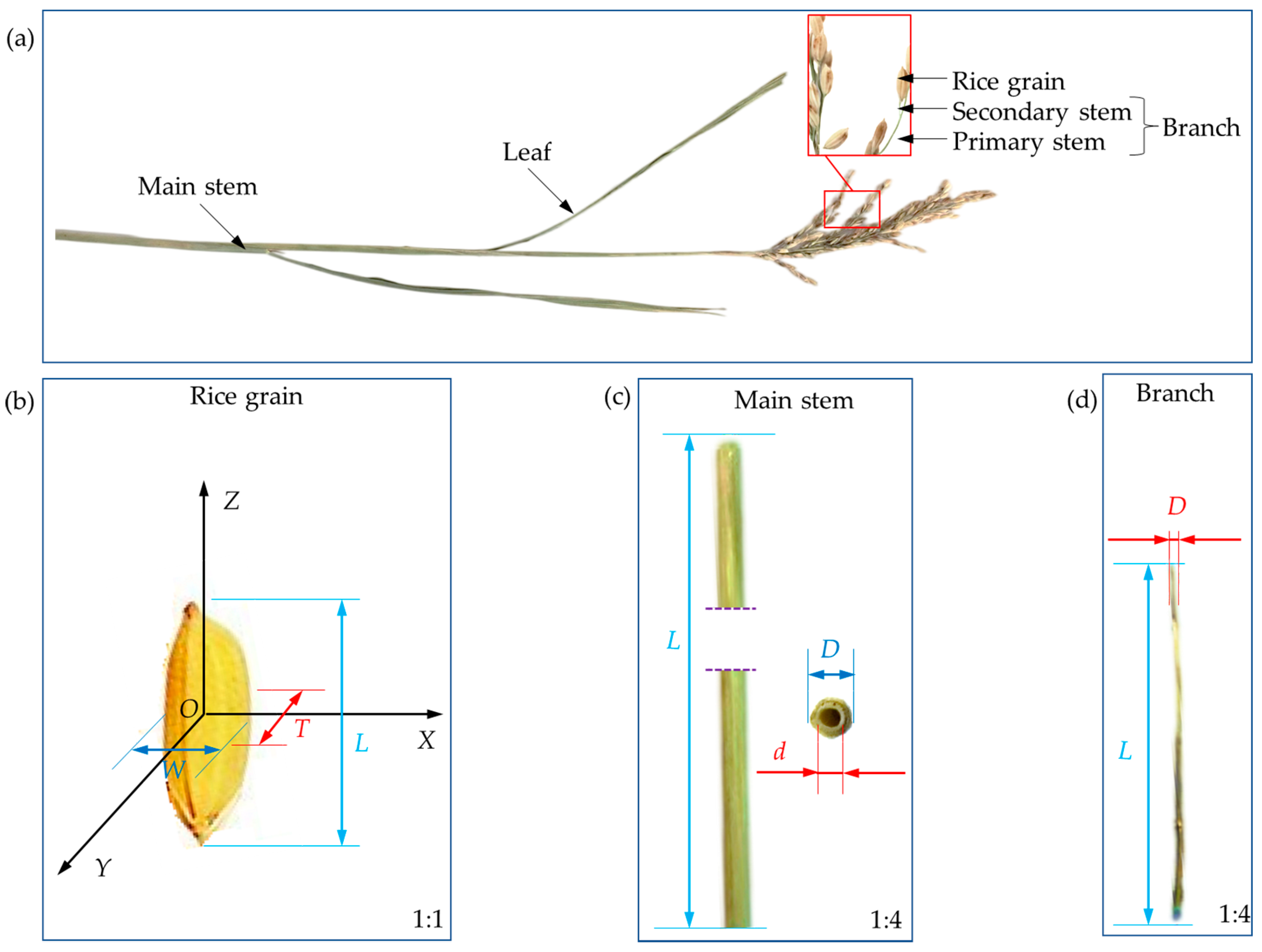 Agronomy 13 02098 g001